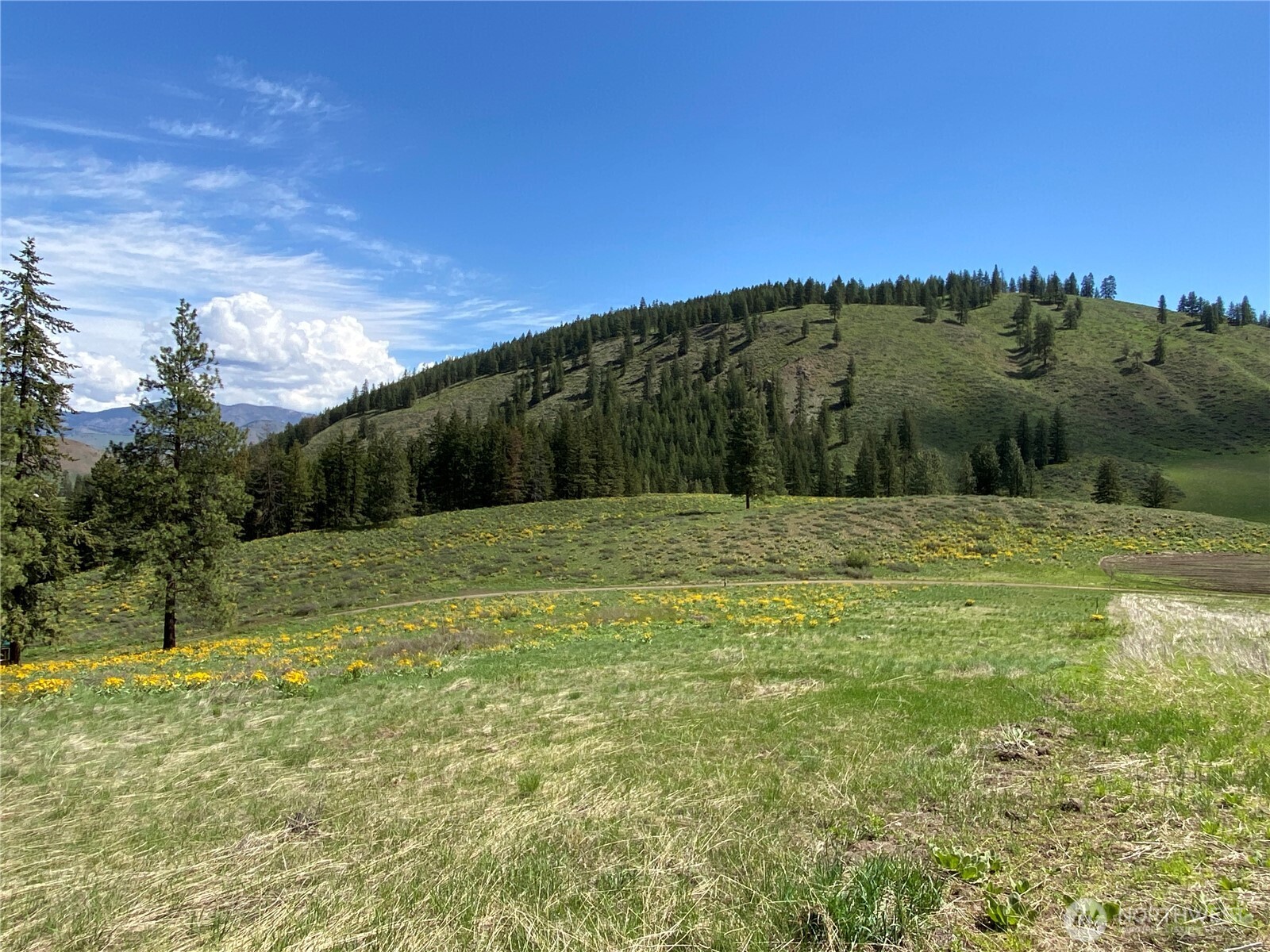 102 Elbow Canyon Road Property Photo 20