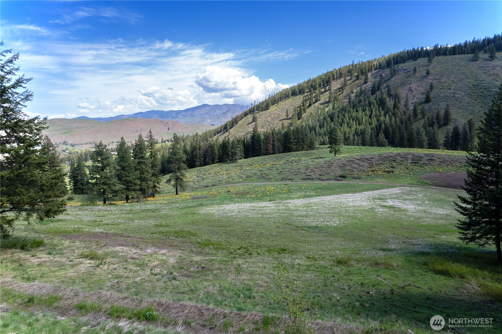 102 Elbow Canyon Road Property Photo 31
