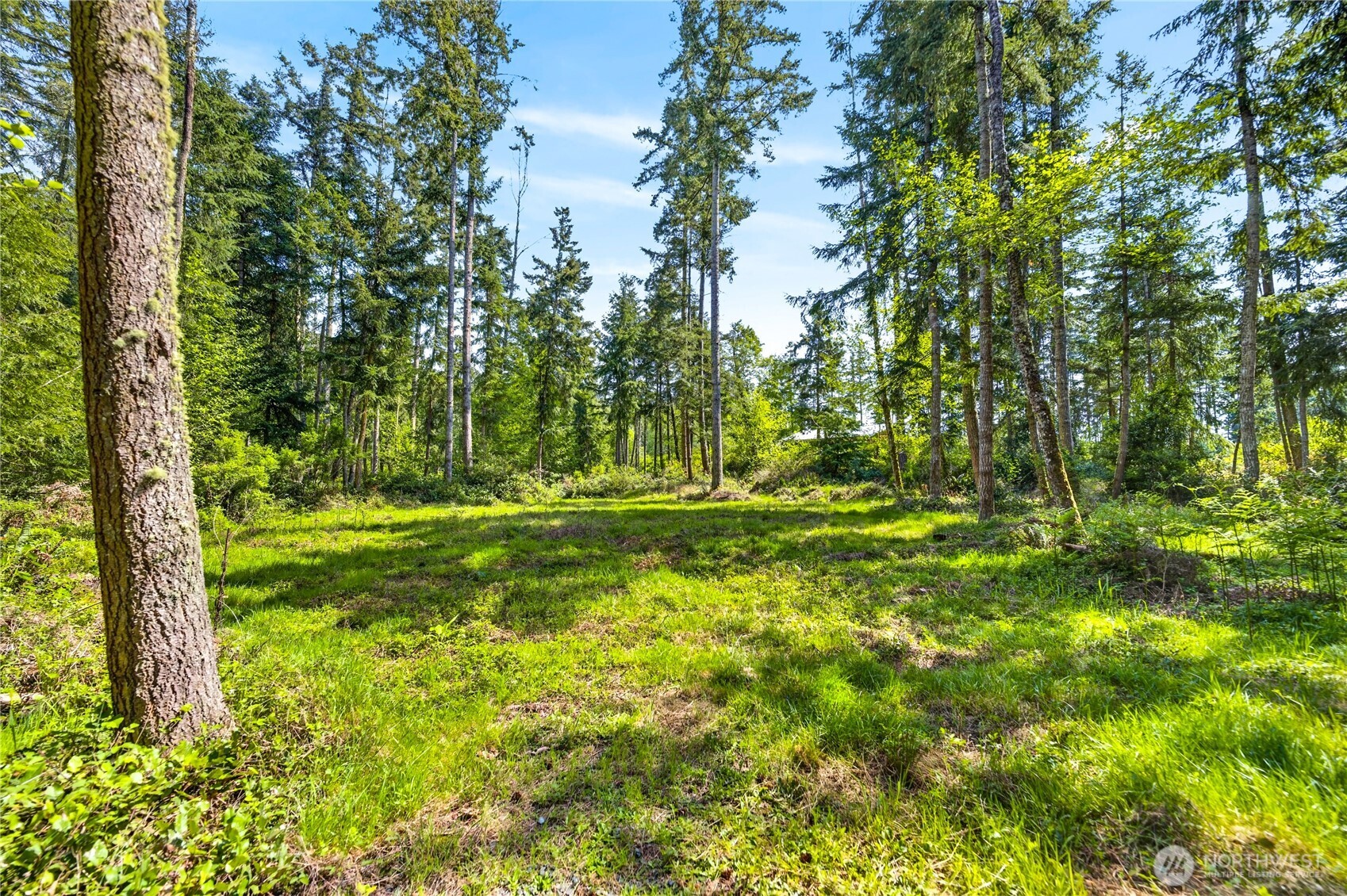 0 Evergreen Lane Property Photo 1