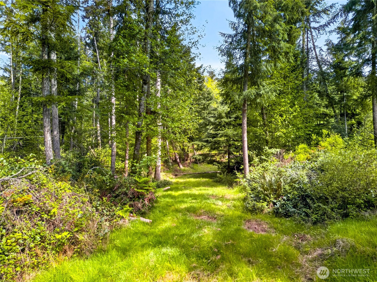 0 Evergreen Lane Property Photo 2