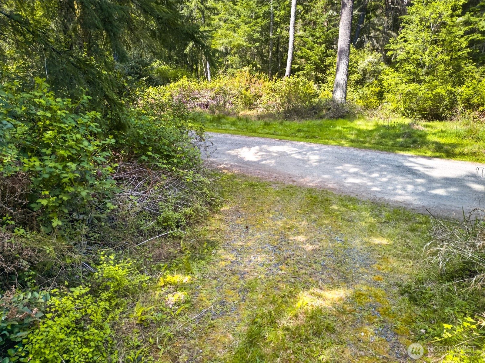 0 Evergreen Lane Property Photo 4
