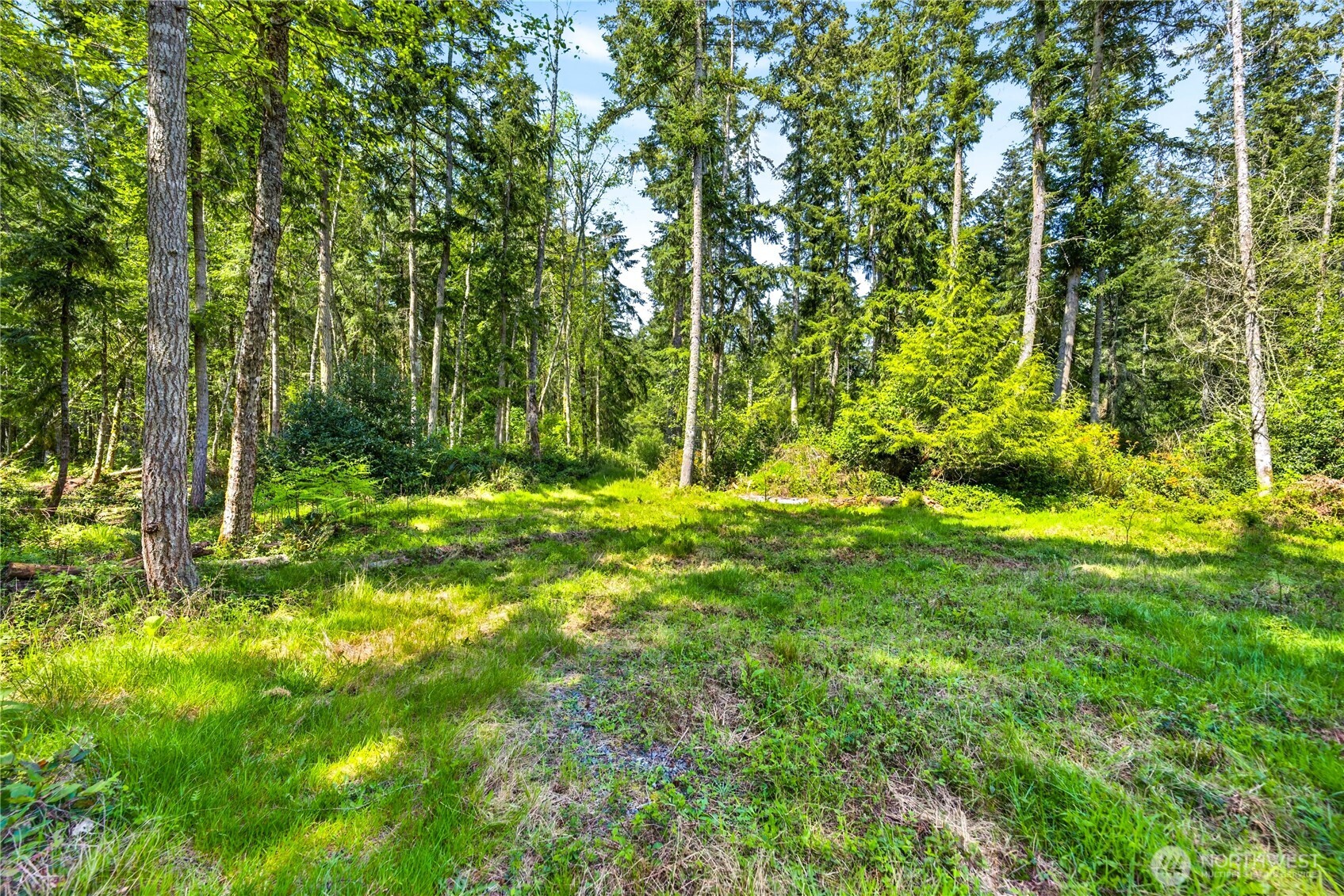 0 Evergreen Lane Property Photo 14