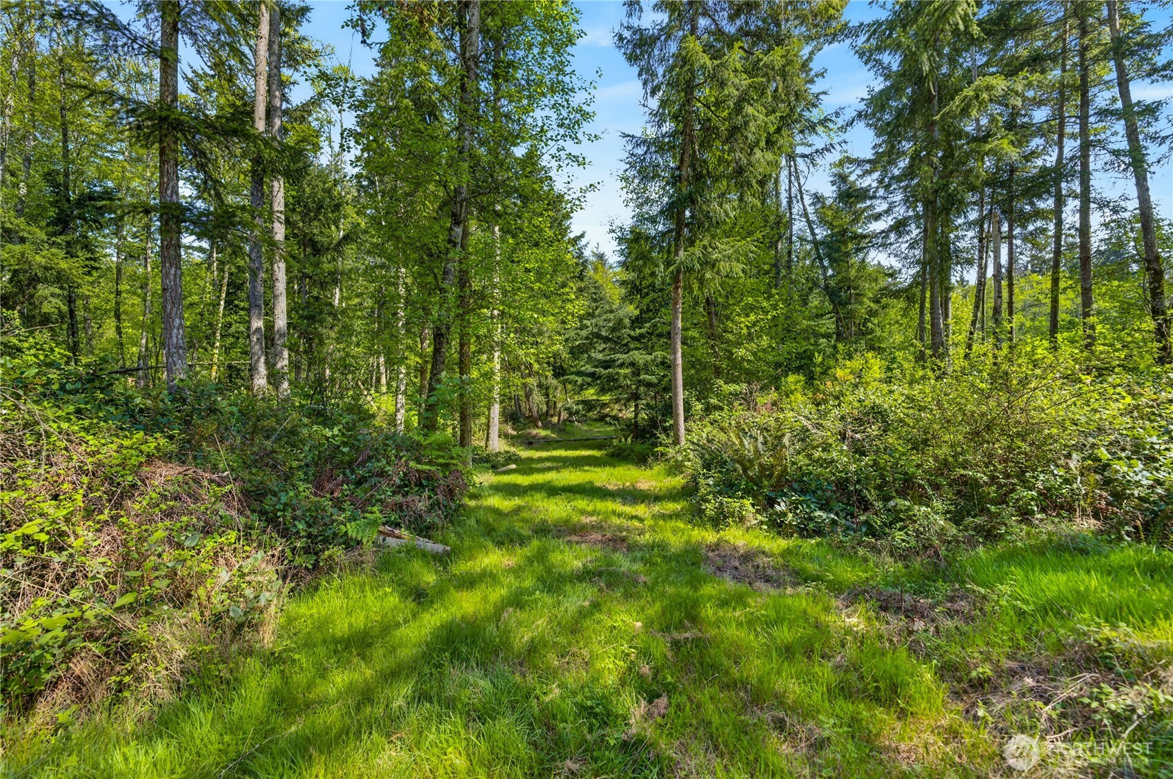 0 Evergreen Lane Property Photo 15