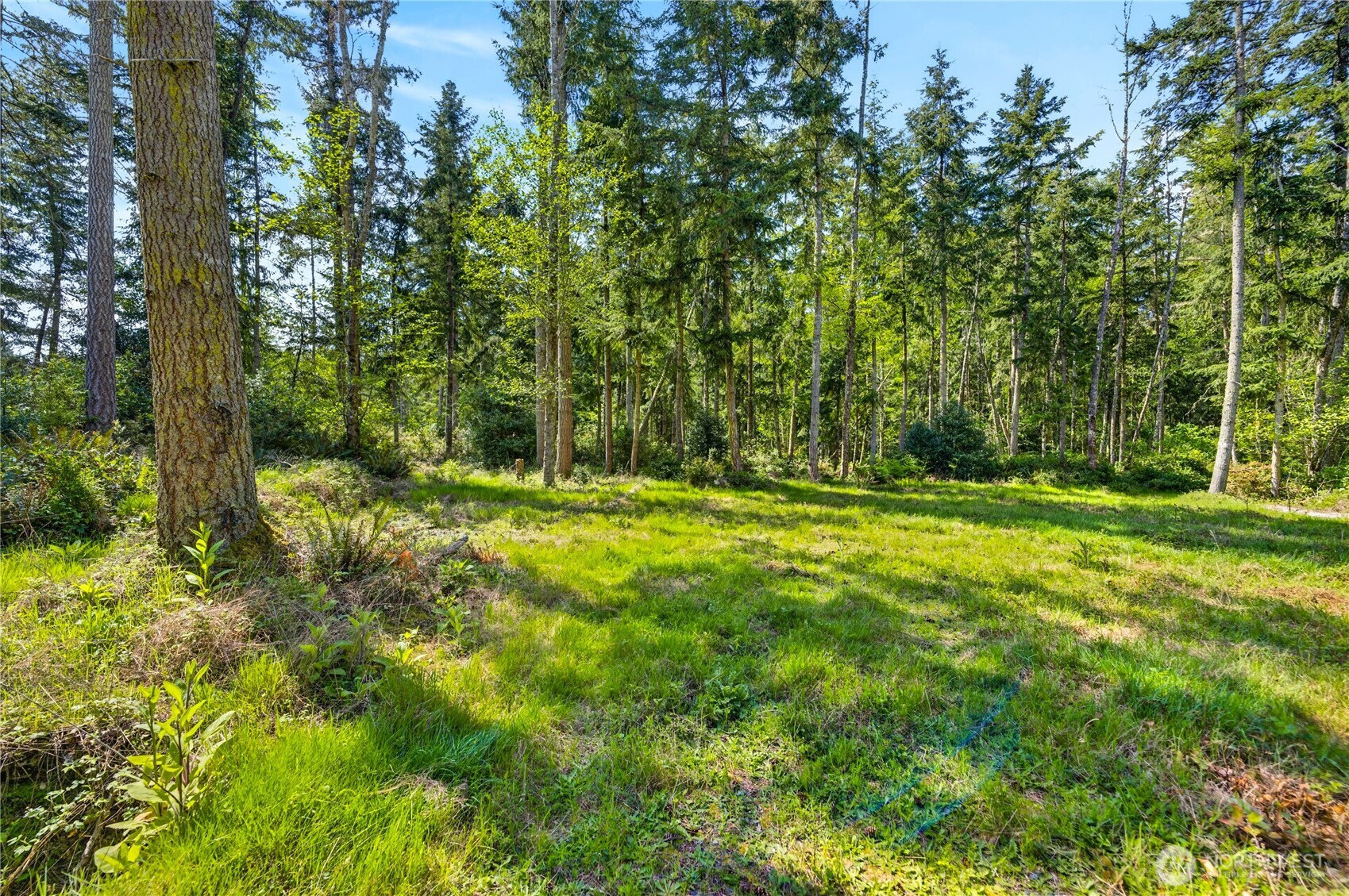 0 Evergreen Lane Property Photo 16