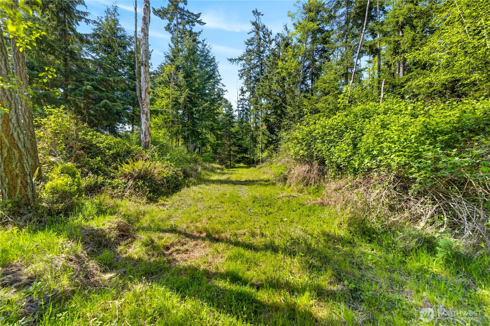 0 Evergreen Lane Property Photo 17