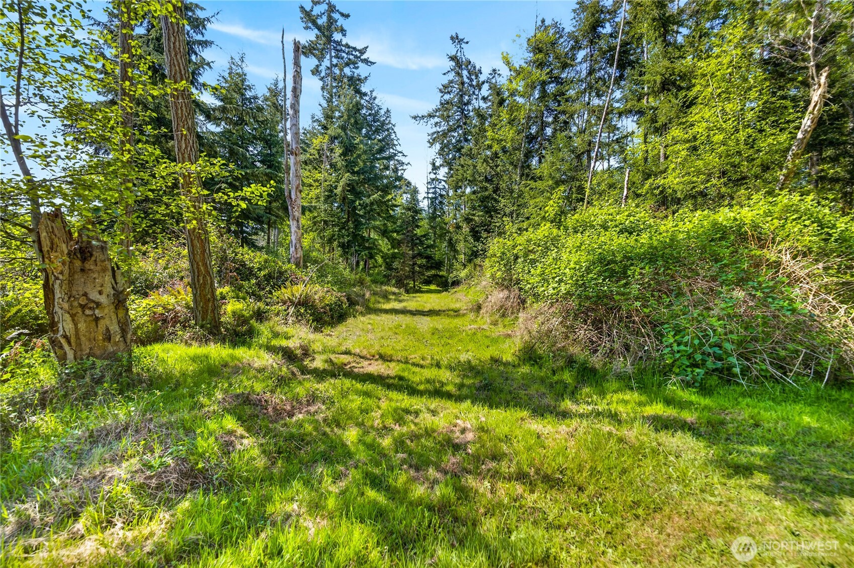 0 Evergreen Lane Property Photo 18
