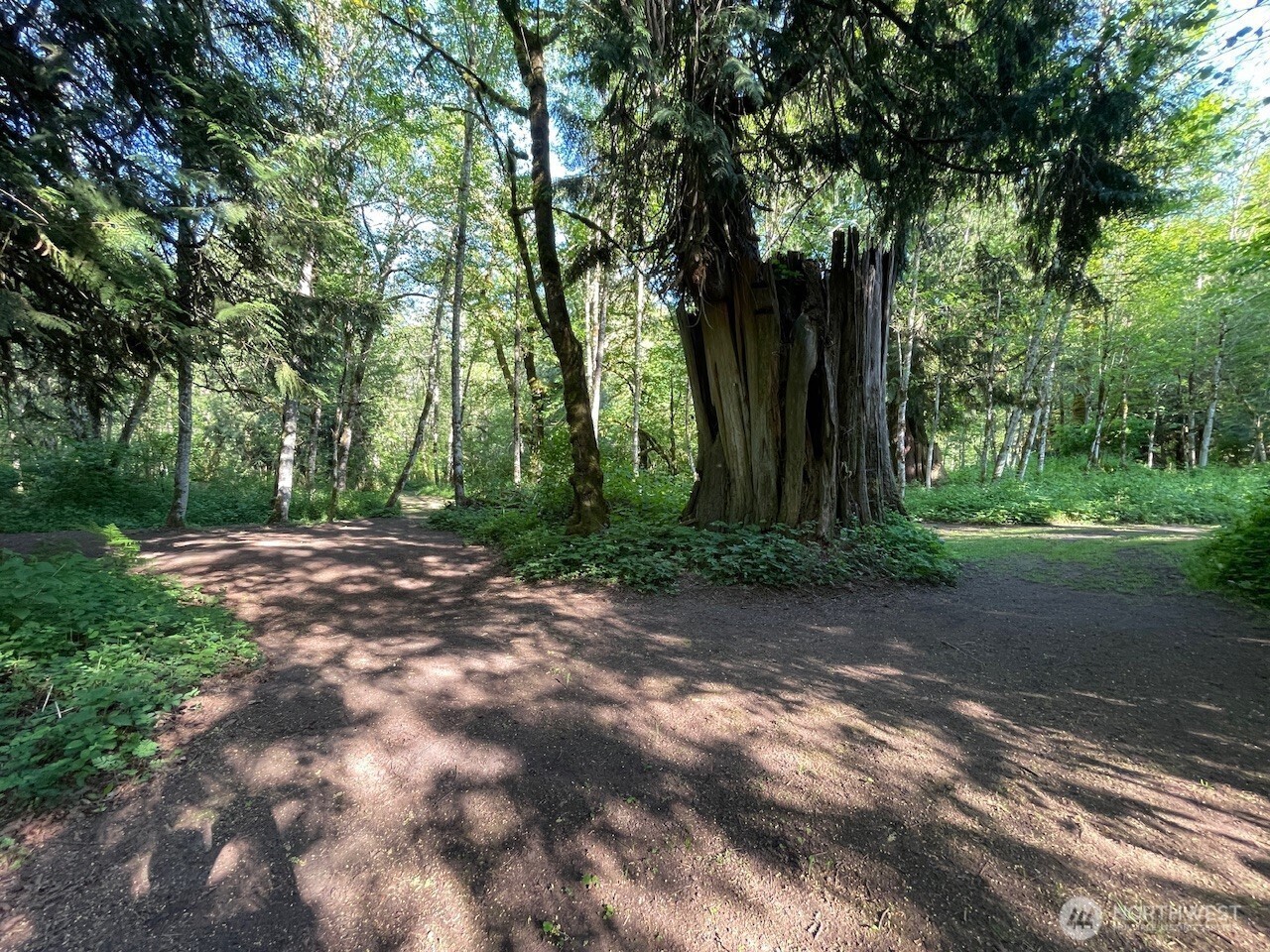 15901 108th Street Property Photo 3
