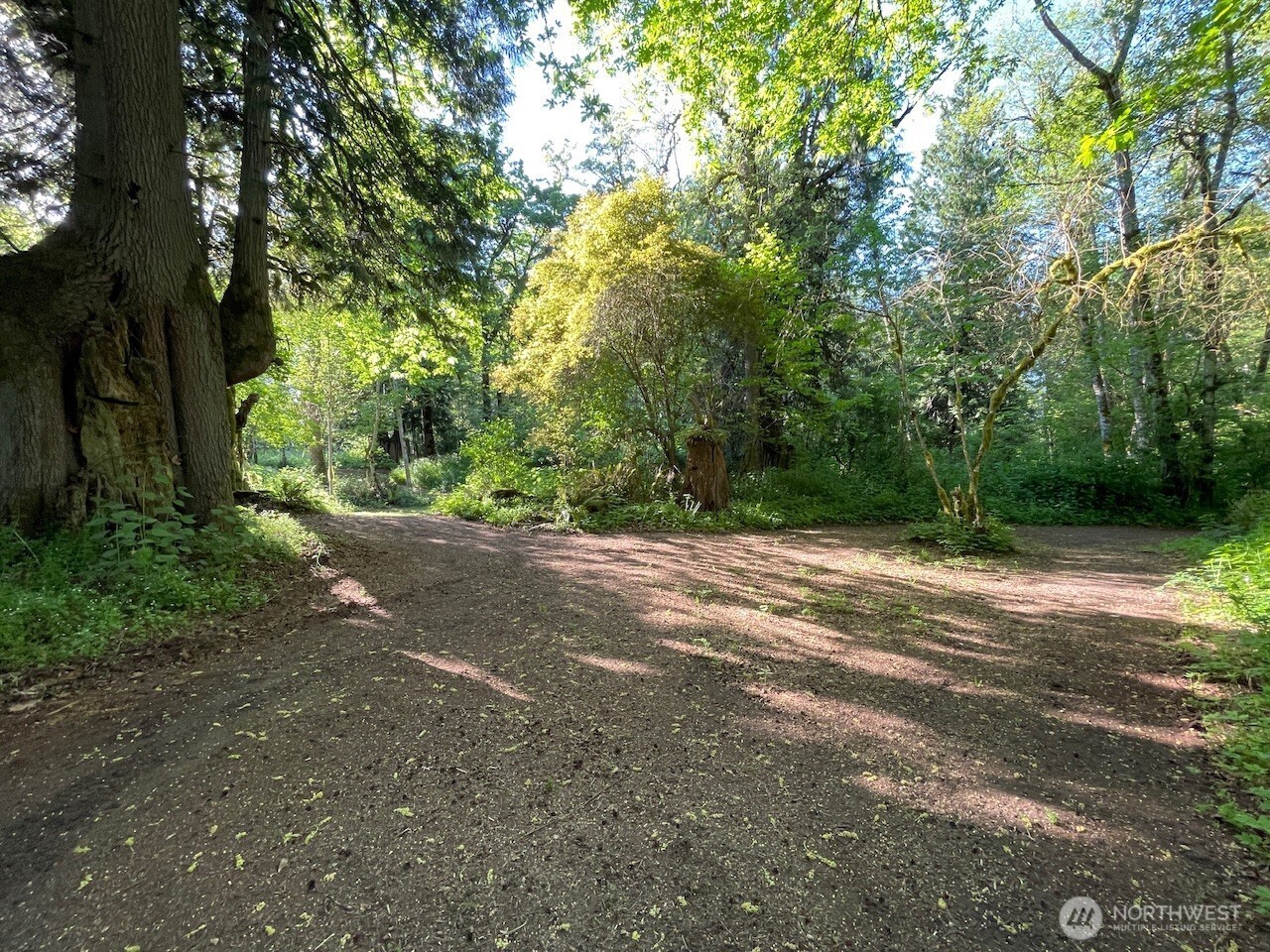 15901 108th Street Property Photo 4