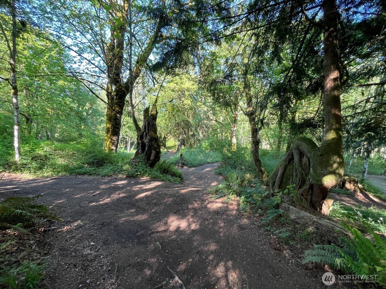 15901 108th Street Property Photo 15