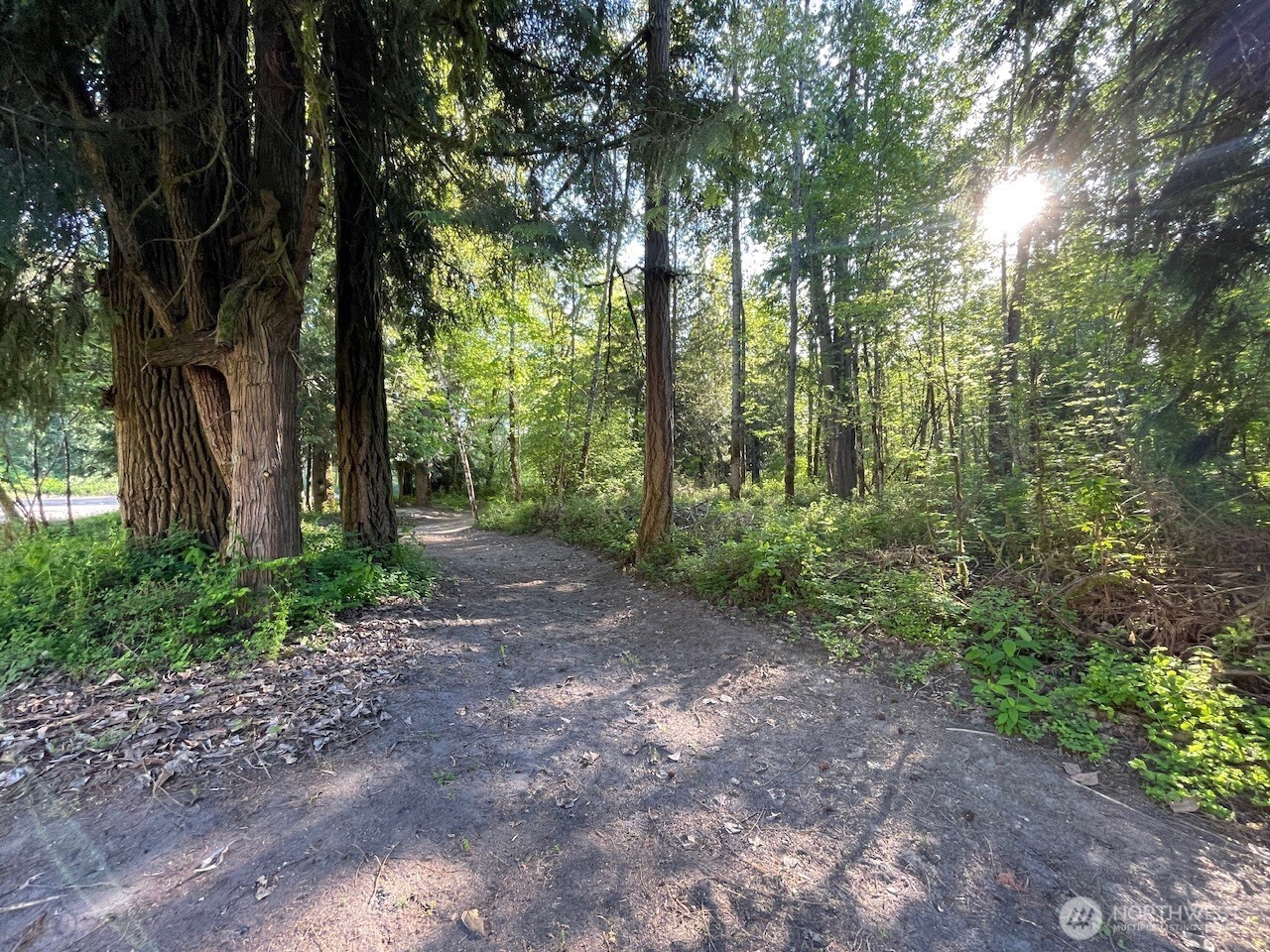 15901 108th Street Property Photo 17