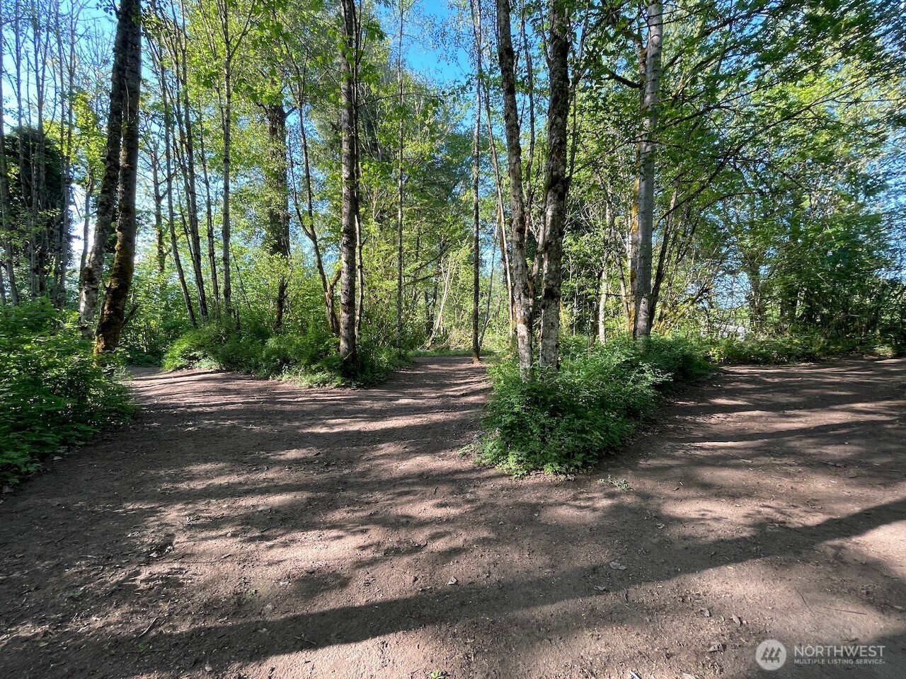 15901 108th Street Property Photo 23