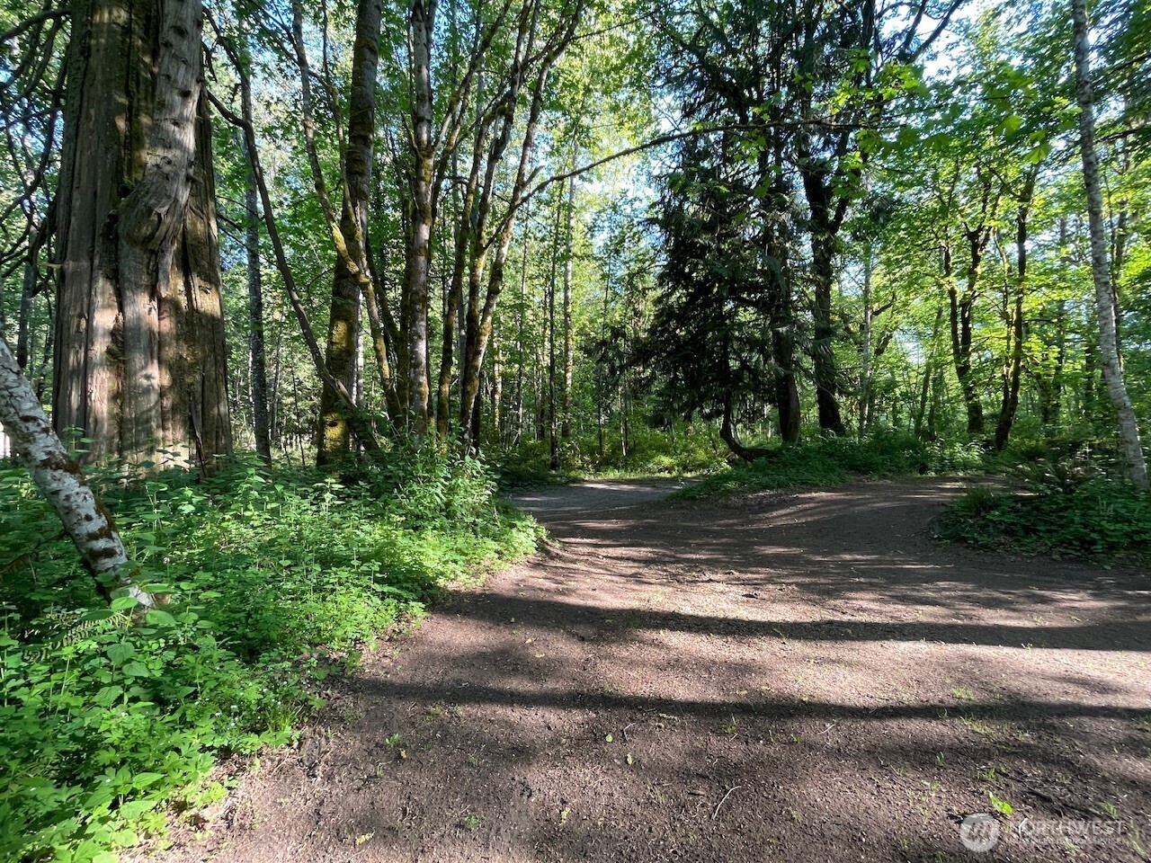 15901 108th Street Property Photo 34