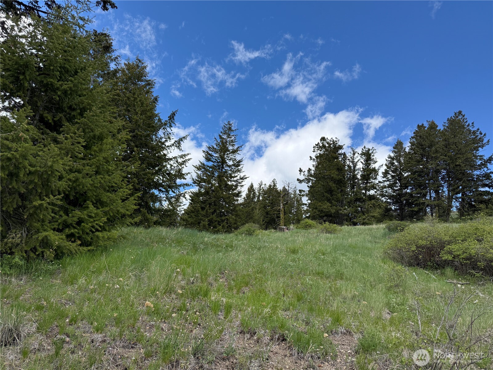 0 Old Sheridan Road Property Photo 3