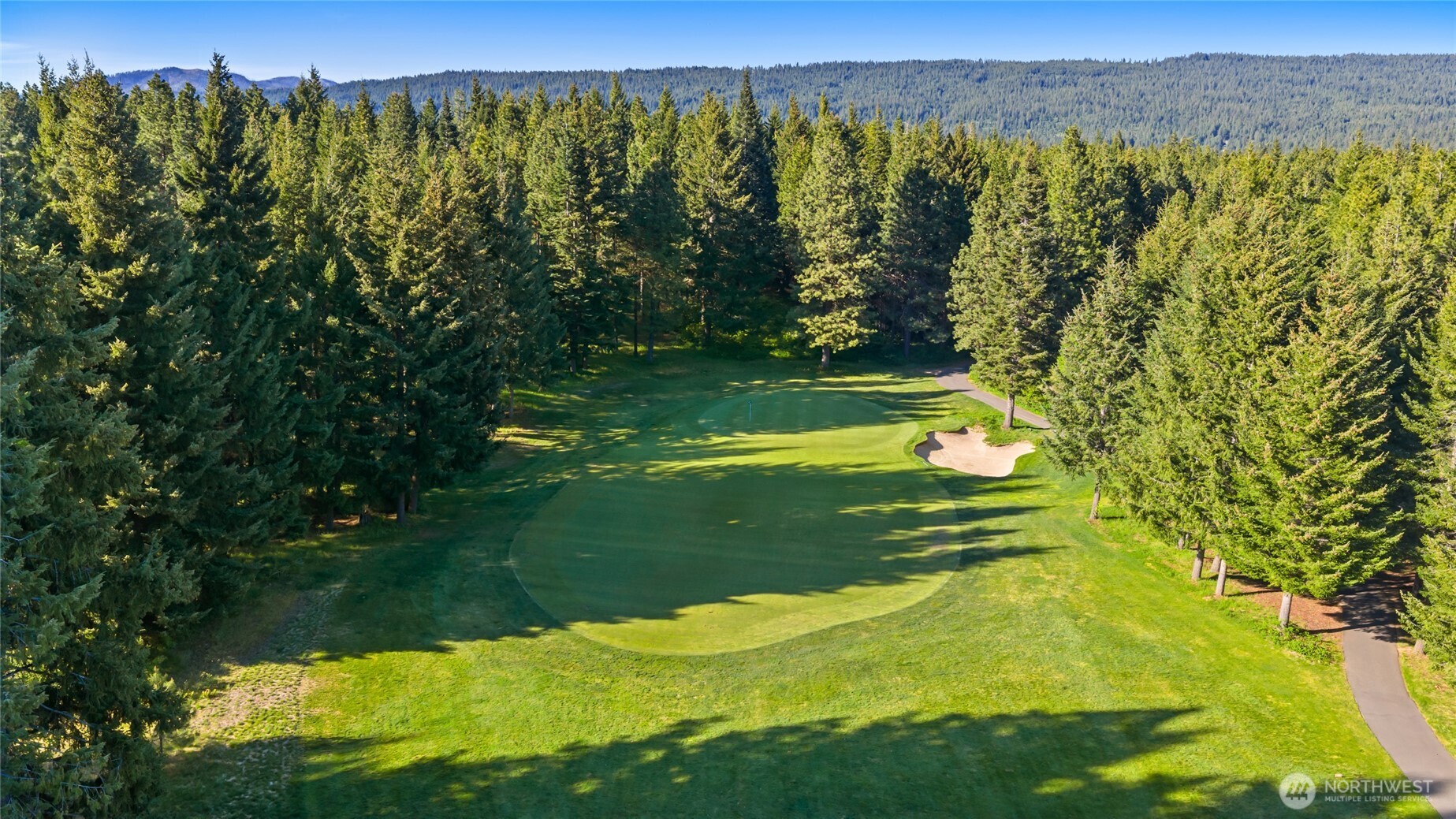 940 Iron Monarch Loop Property Photo 5