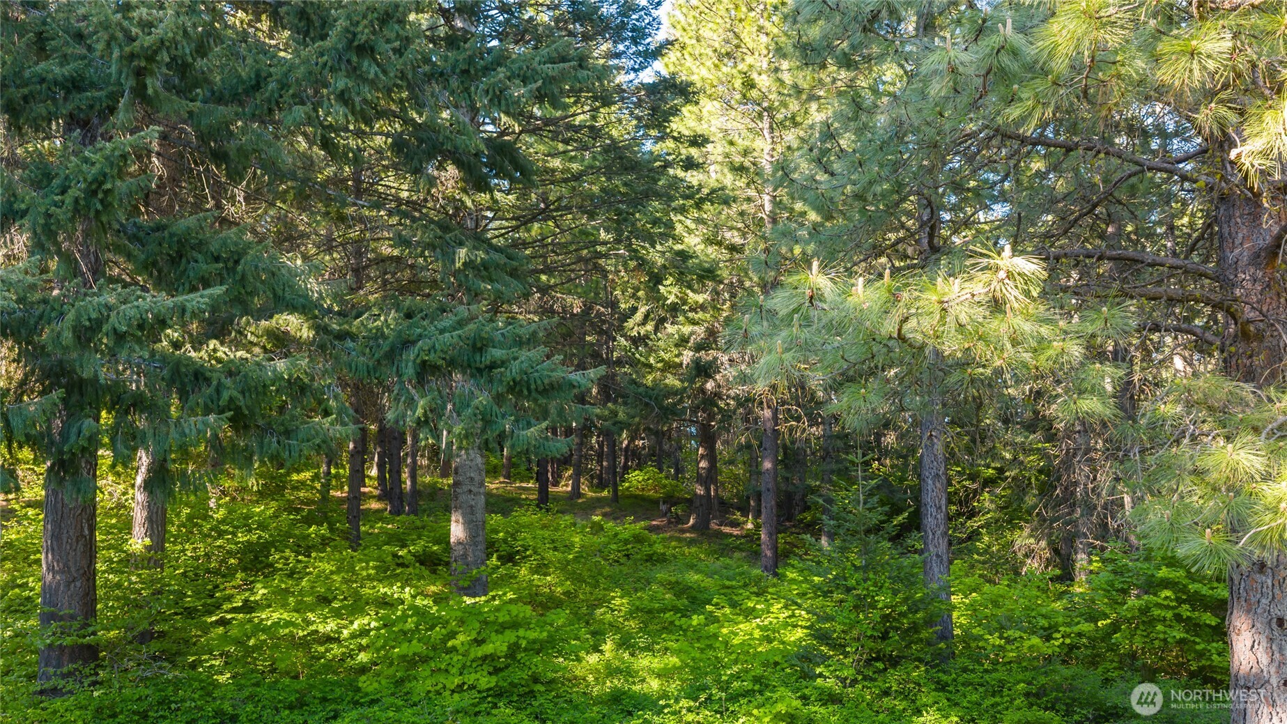 940 Iron Monarch Loop Property Photo 8