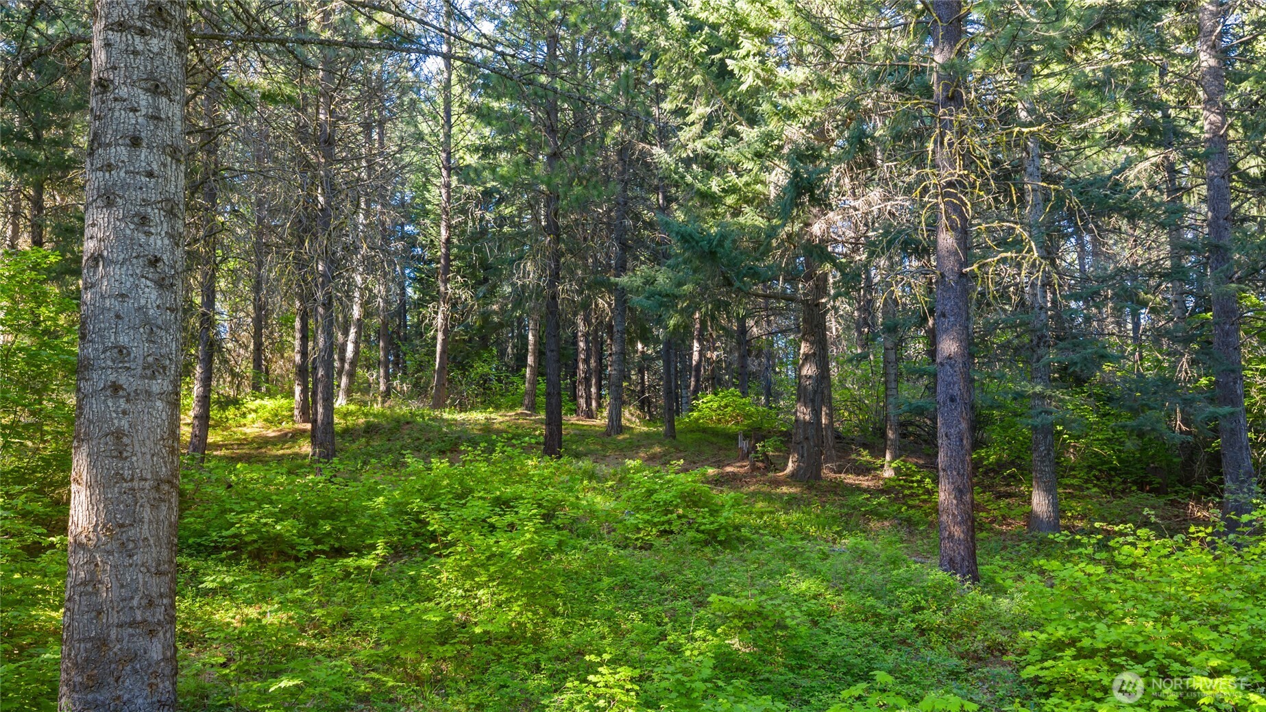940 Iron Monarch Loop Property Photo 9