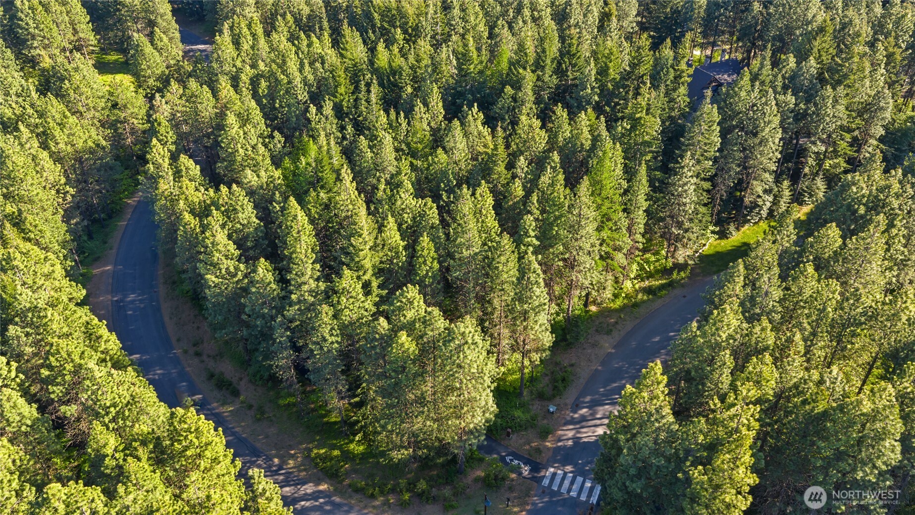 940 Iron Monarch Loop Property Photo 11