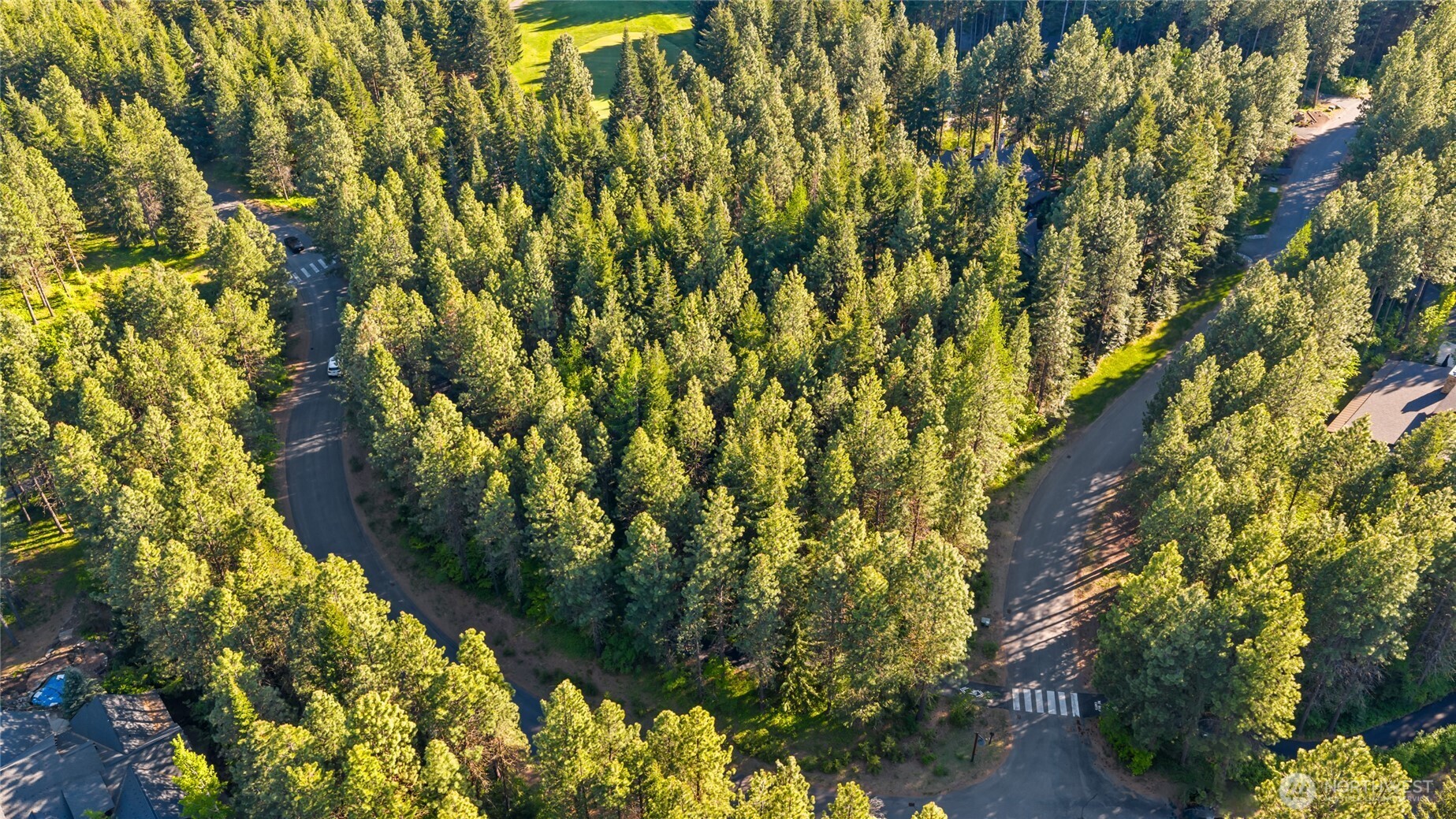940 Iron Monarch Loop Property Photo 13