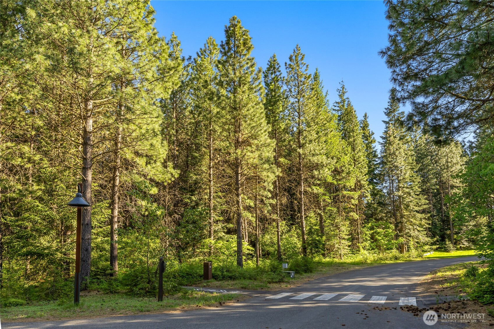 940 Iron Monarch Loop Property Photo 18