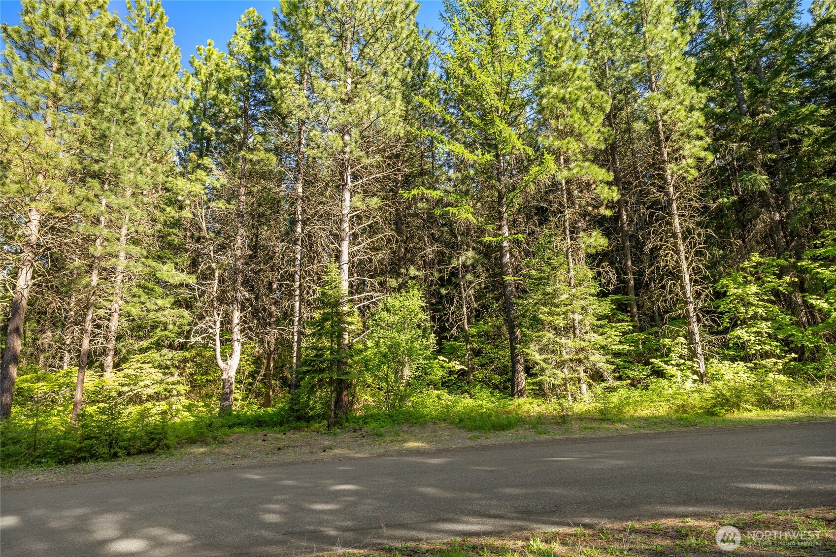 940 Iron Monarch Loop Property Photo 23