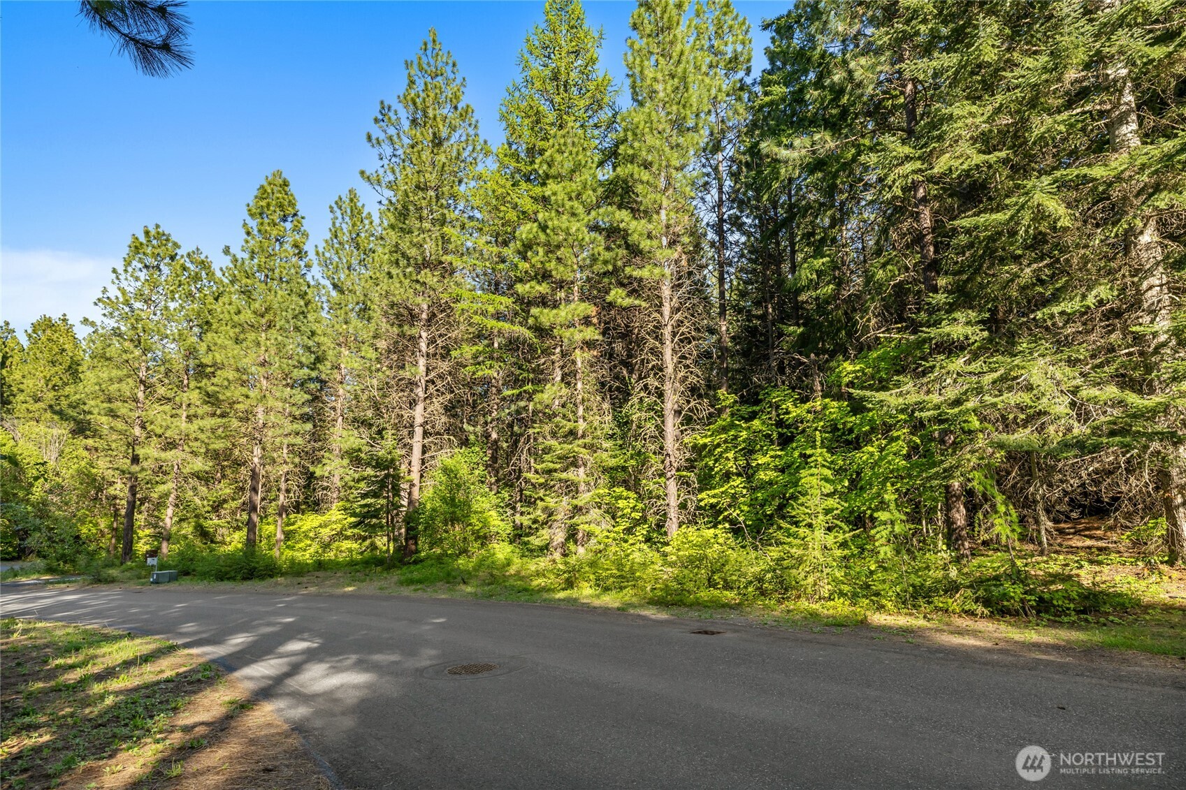 940 Iron Monarch Loop Property Photo 24