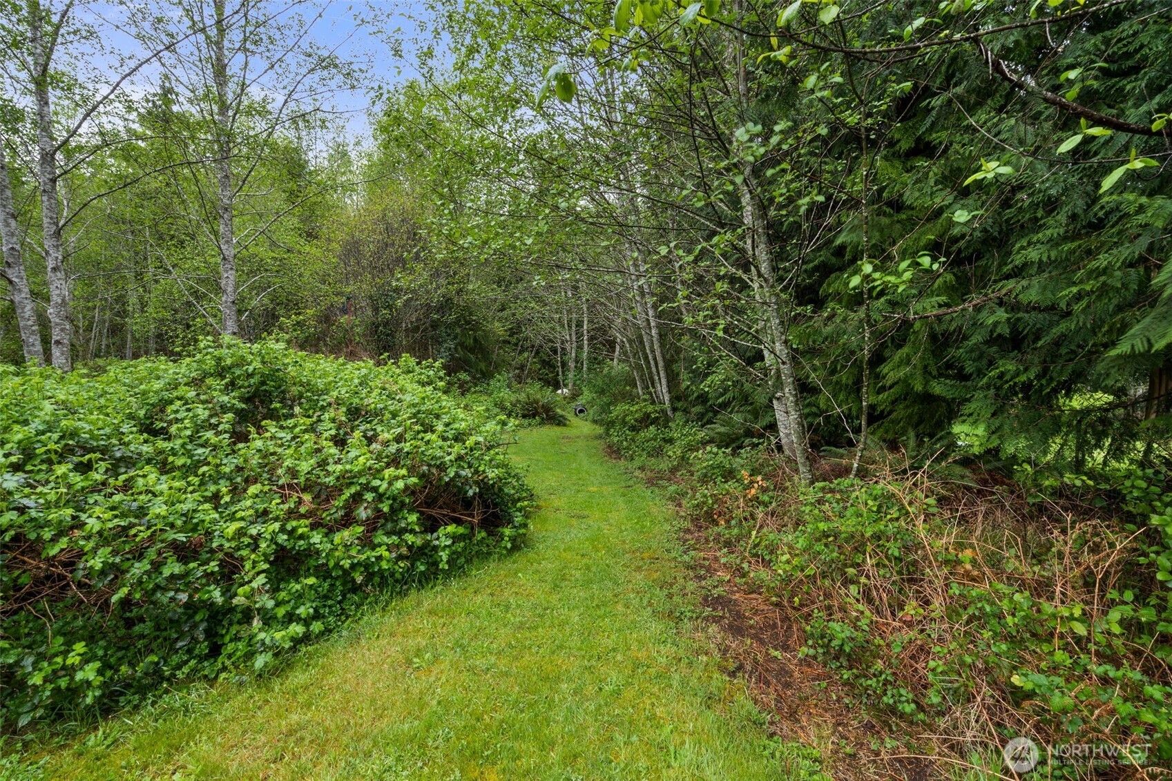 5412 Olympic Highway Property Photo 29
