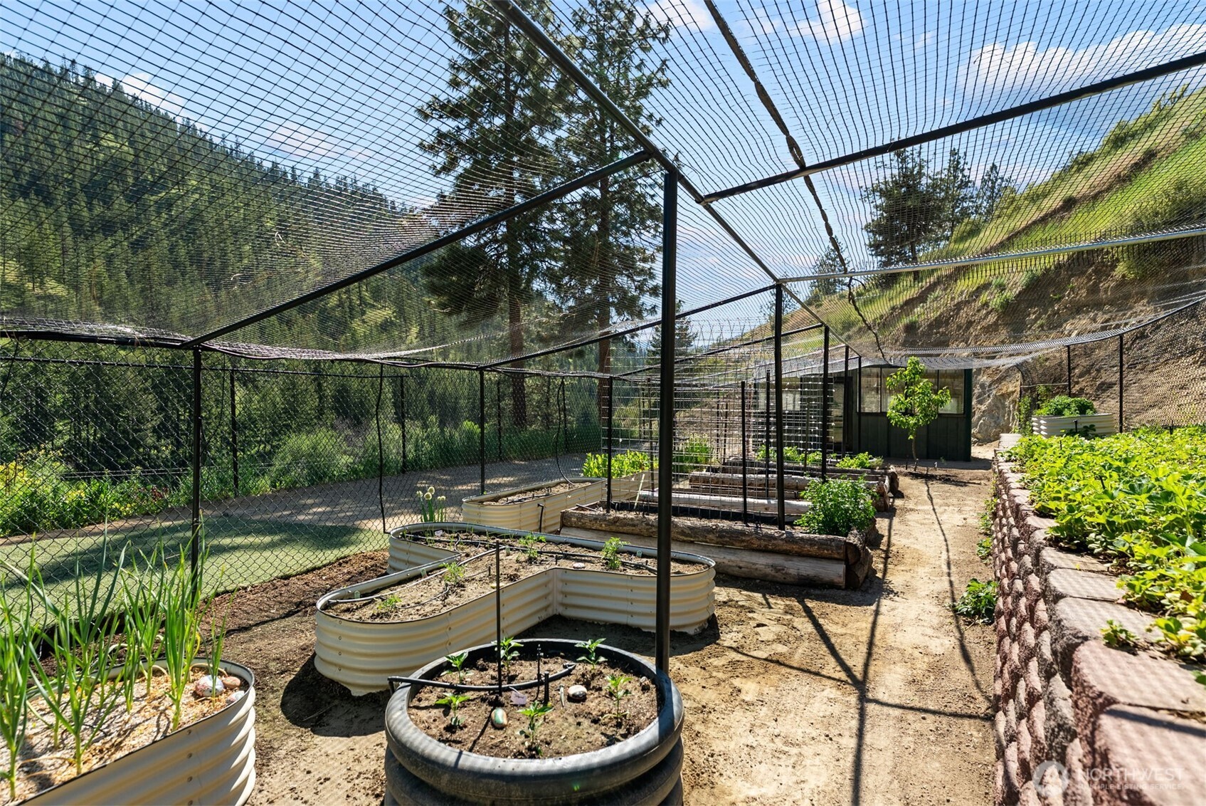 5230 Crum Canyon Road Property Photo 33