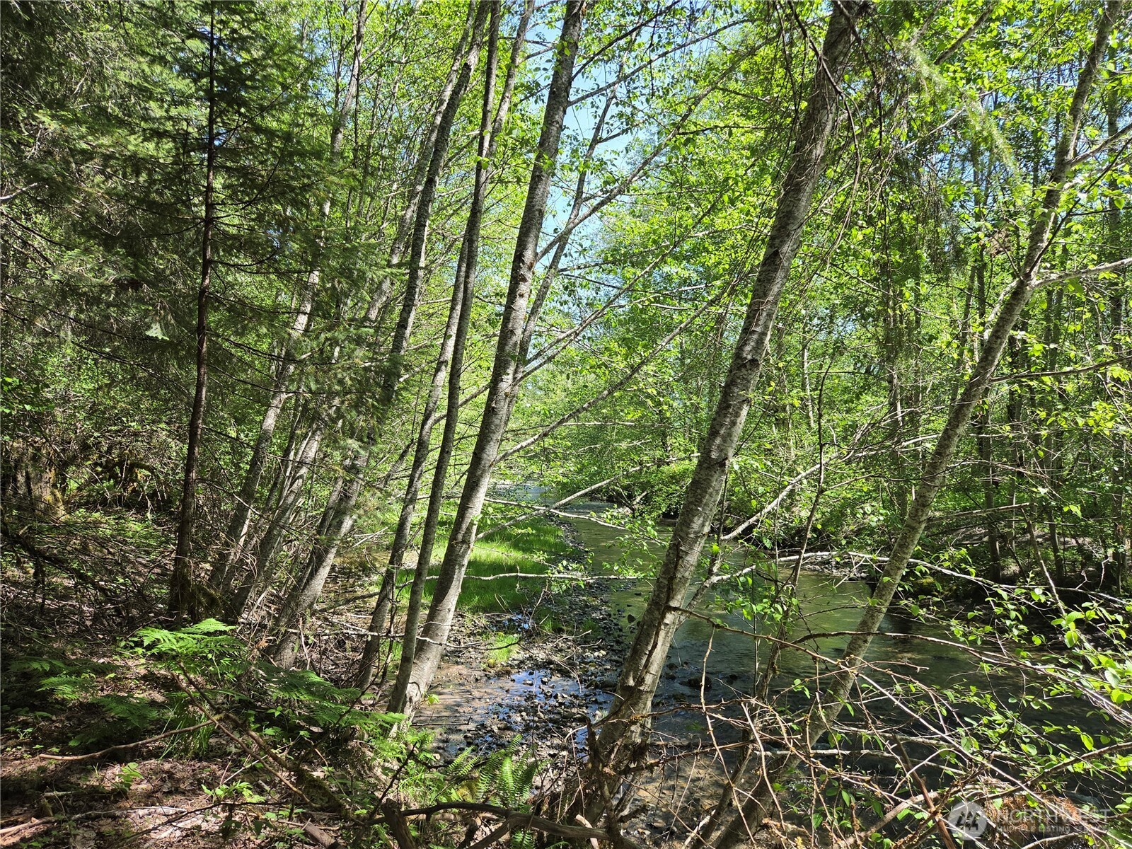 127 Campfire Lane Property Photo 12