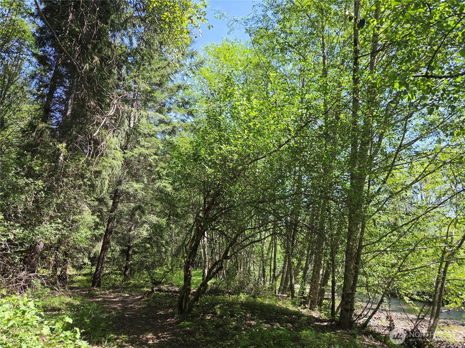 127 Campfire Lane Property Photo 13
