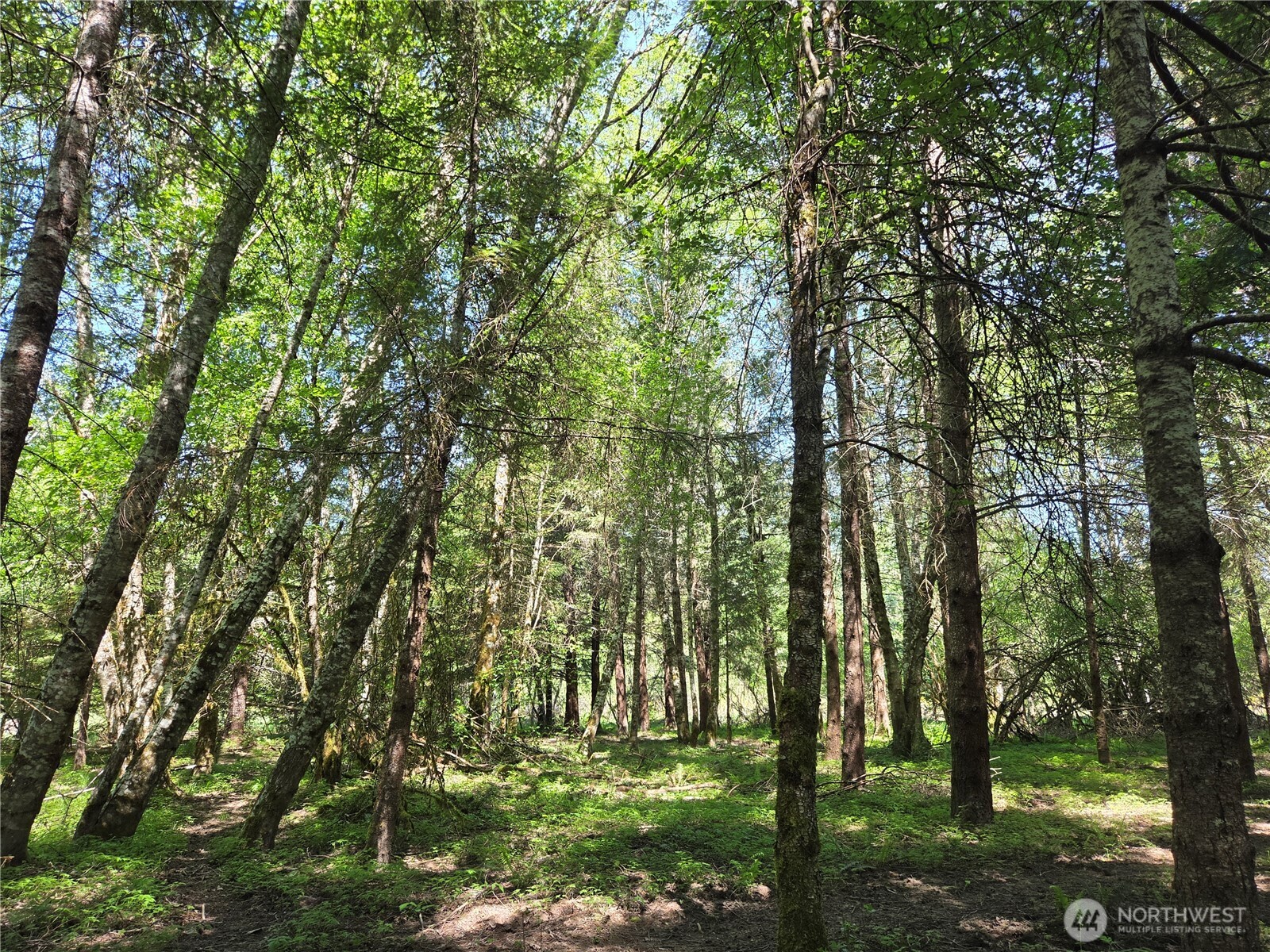 127 Campfire Lane Property Photo 14