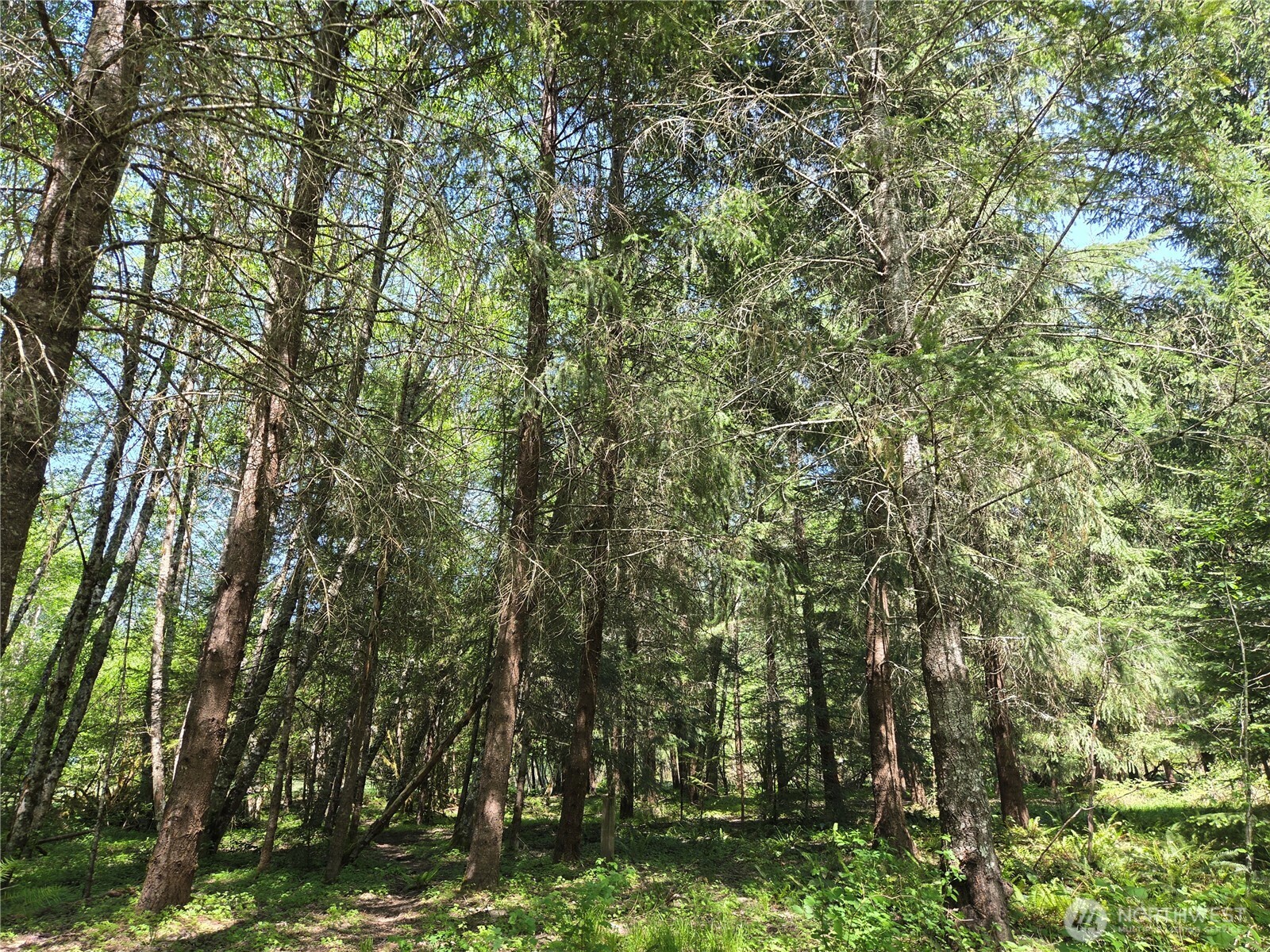 127 Campfire Lane Property Photo 17