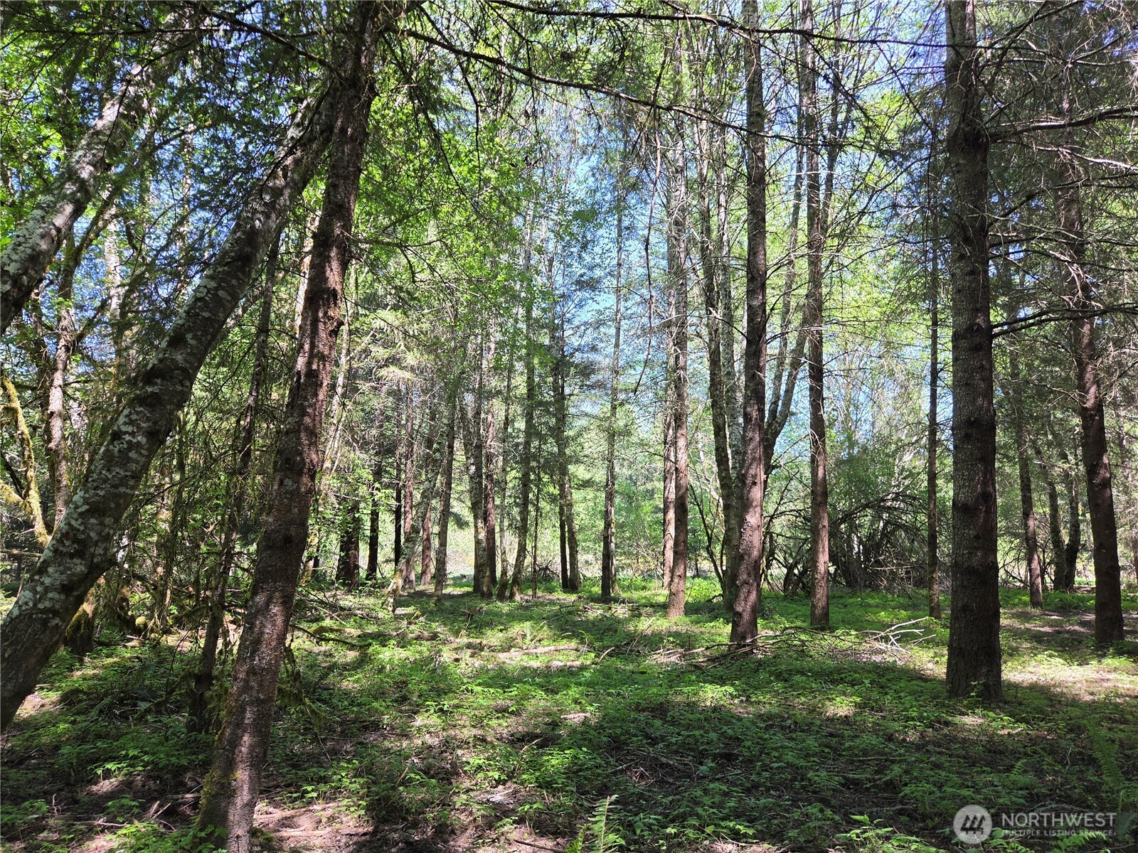 127 Campfire Lane Property Photo 18