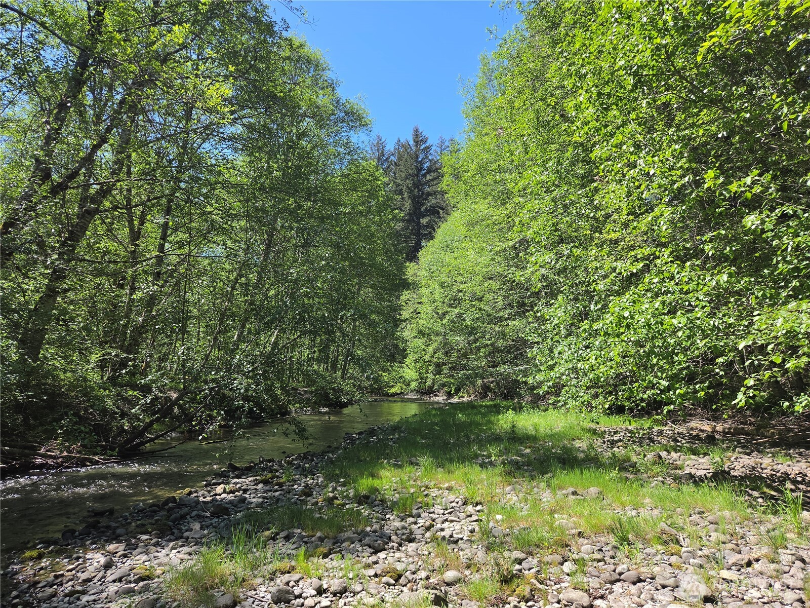 127 Campfire Lane Property Photo 19