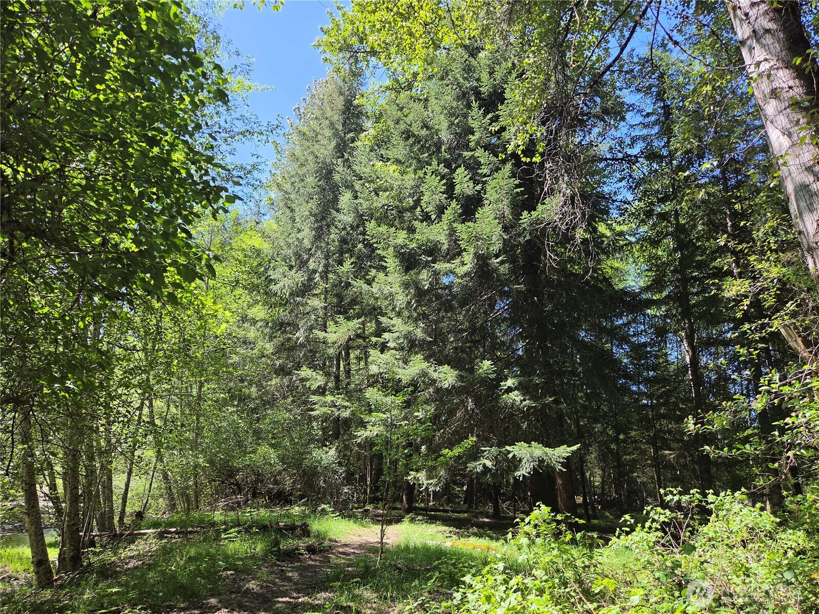127 Campfire Lane Property Photo 23