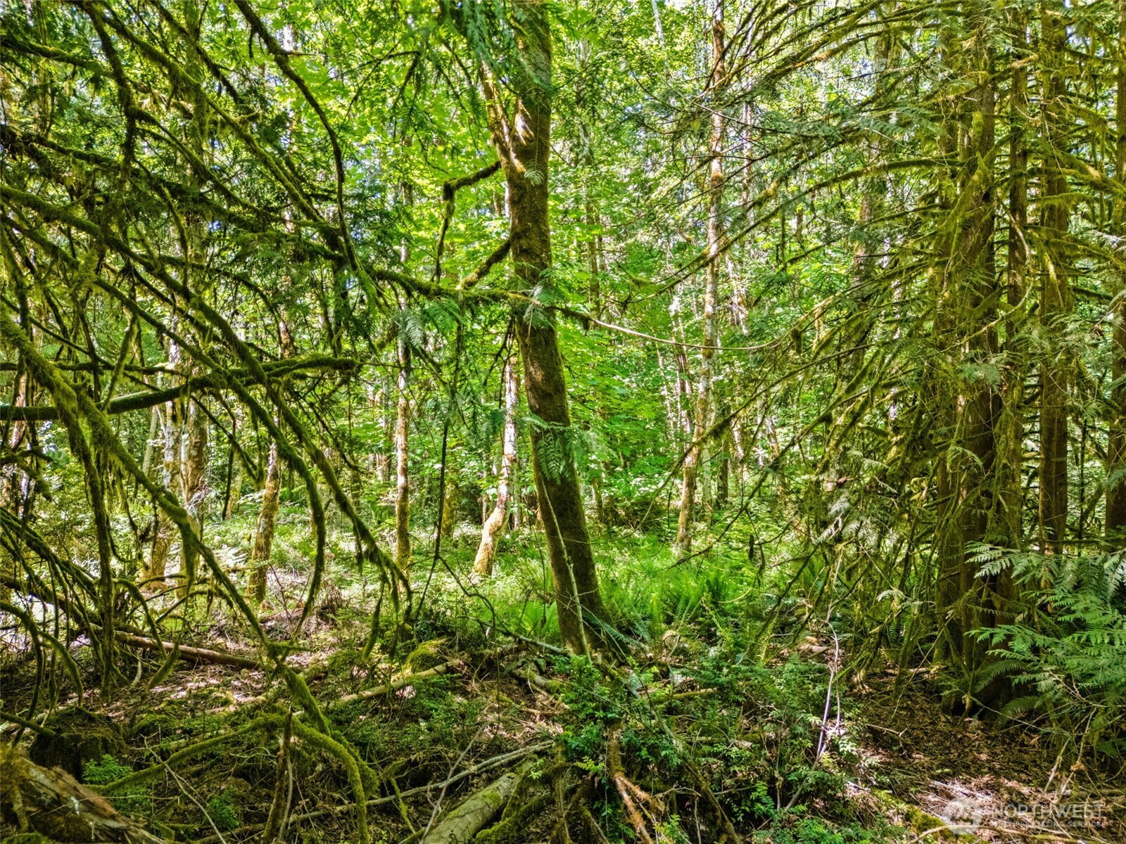 0 Tr D E Jared Road Property Photo 1