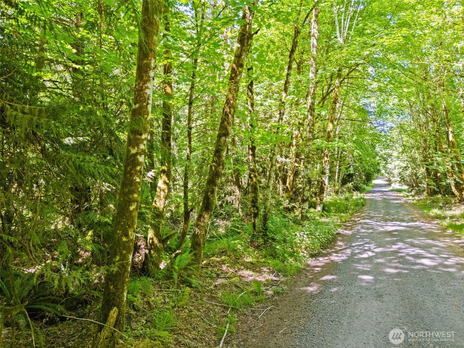 0 Tr D E Jared Road Property Photo 2