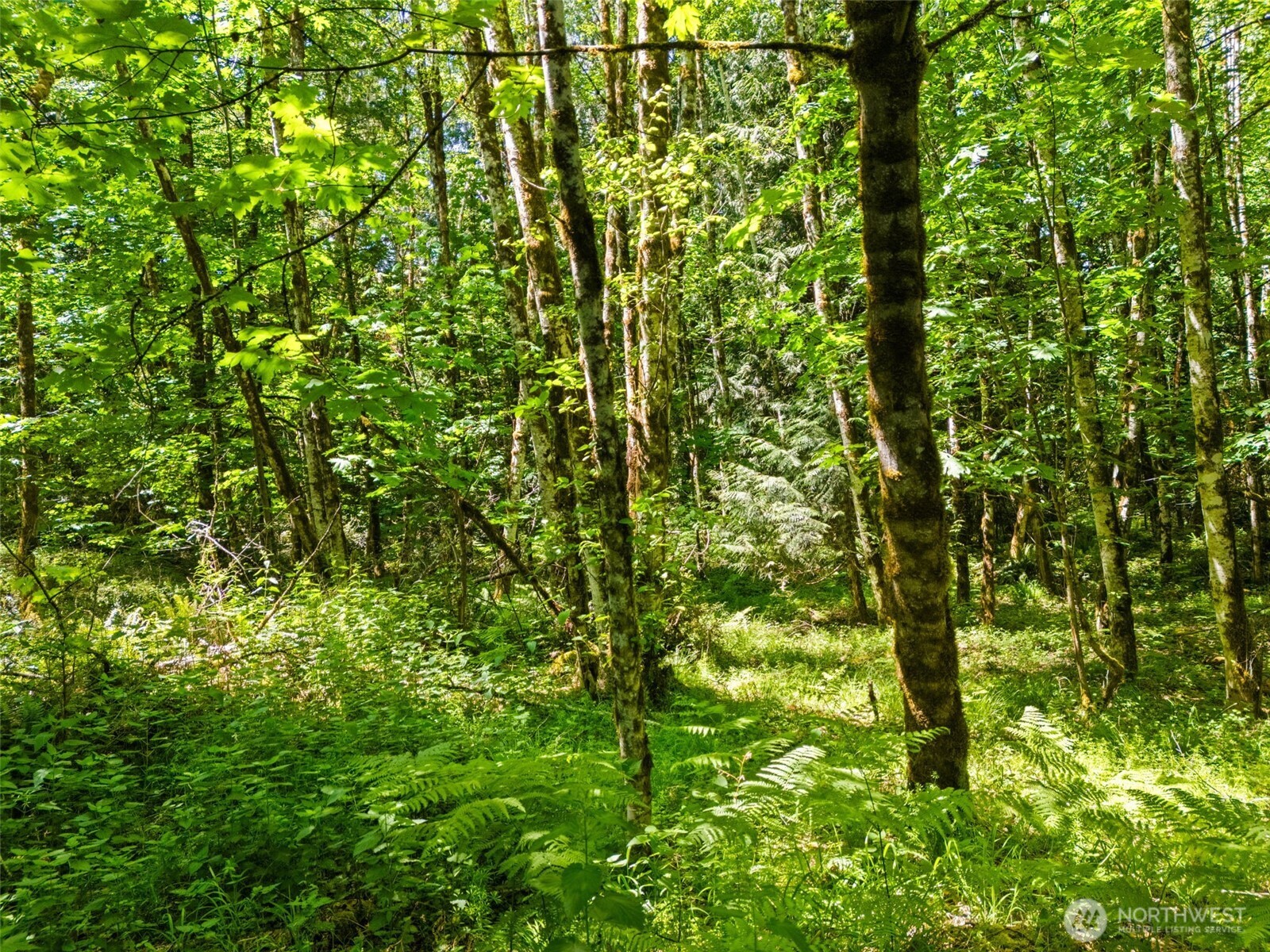 0 Tr D E Jared Road Property Photo 3