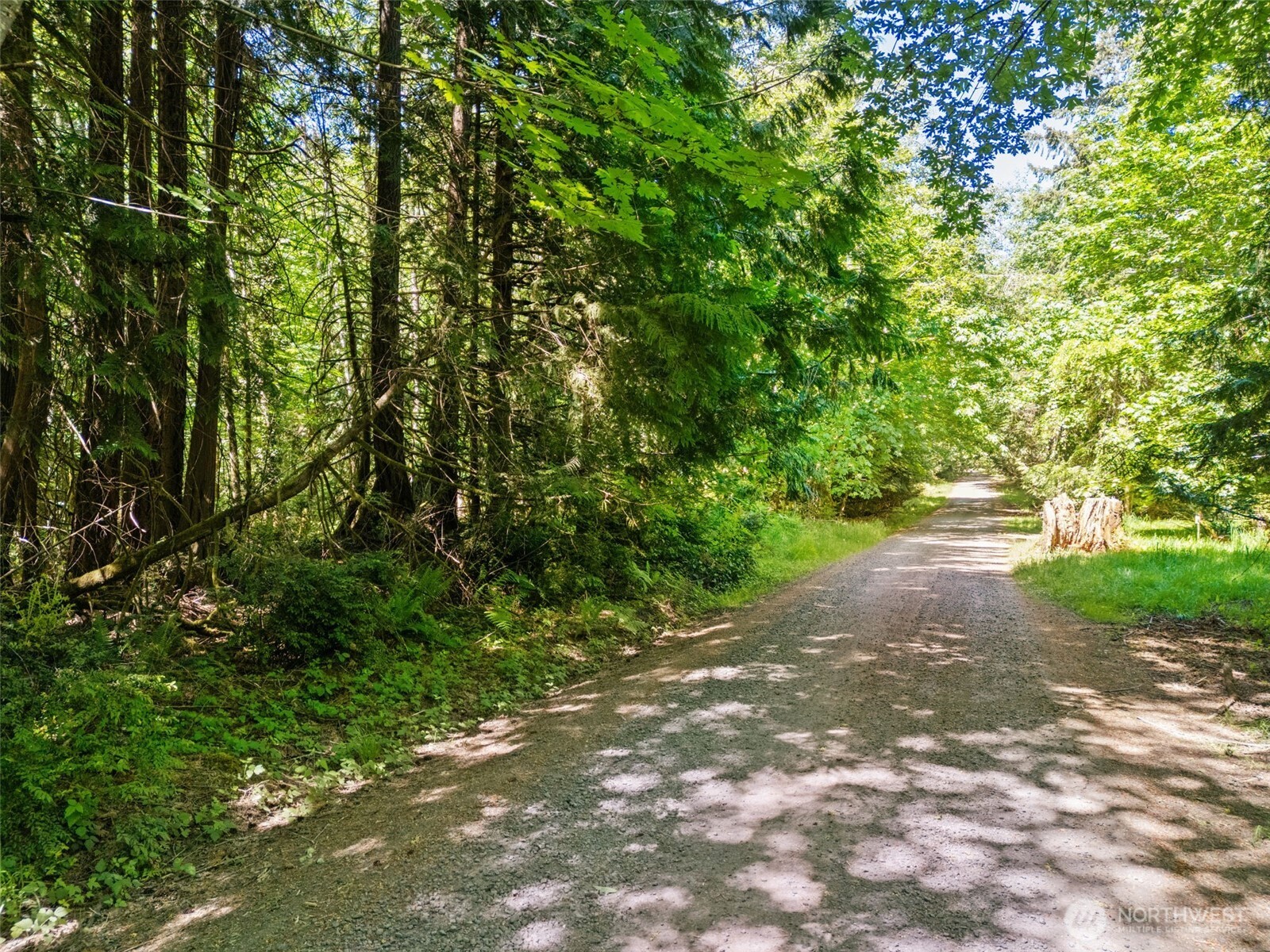 0 Tr D E Jared Road Property Photo 4