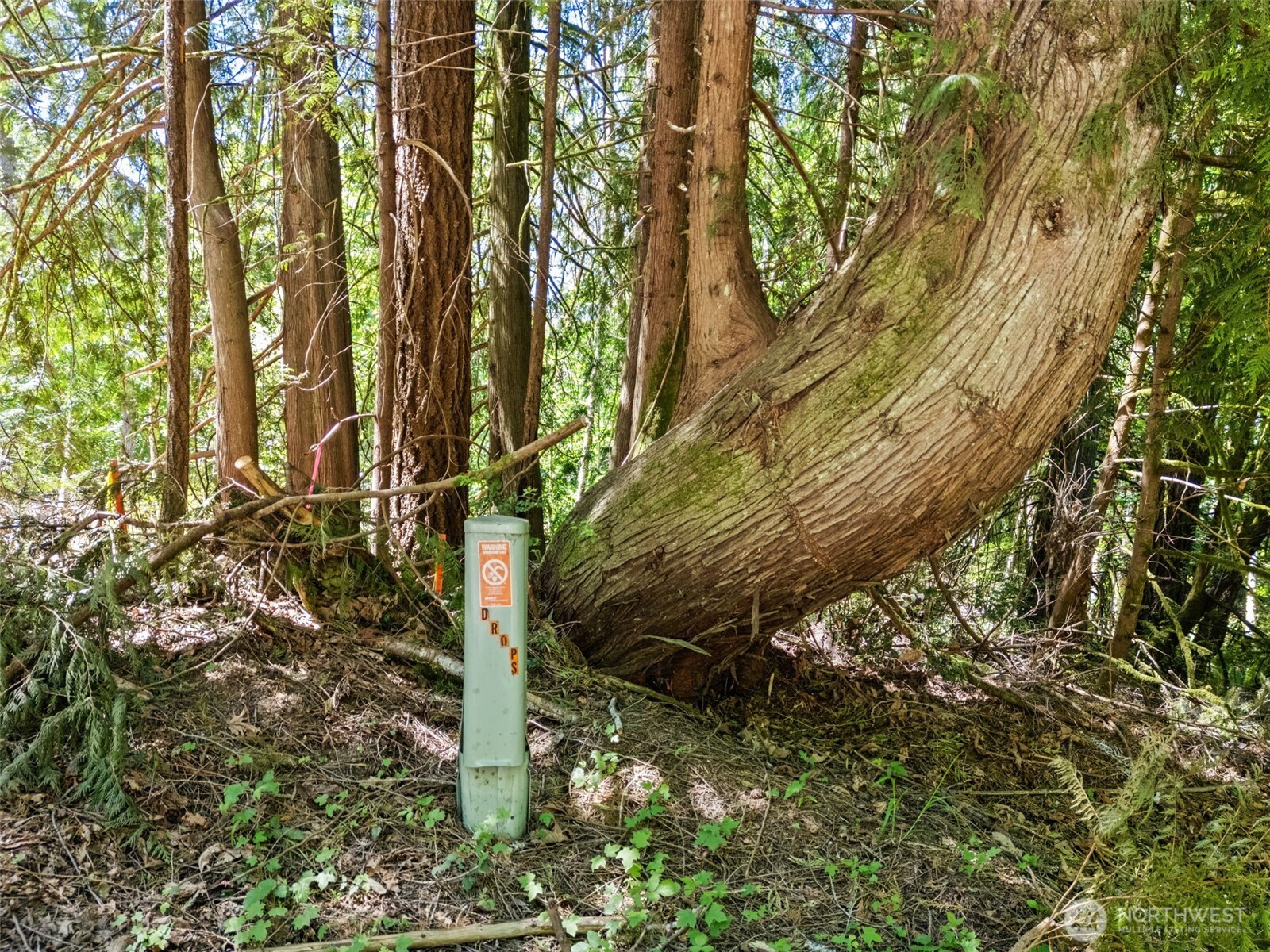 0 Tr D E Jared Road Property Photo 6