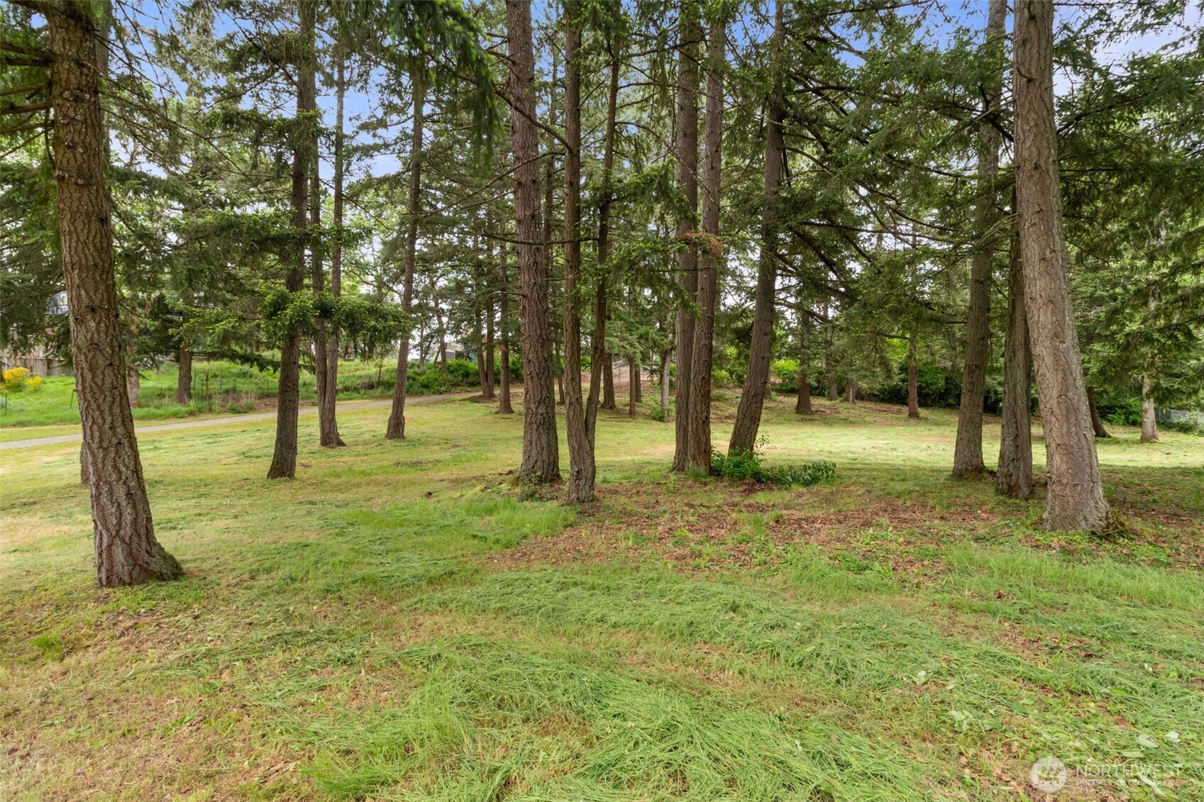 19608 8th Avenue Property Photo 21