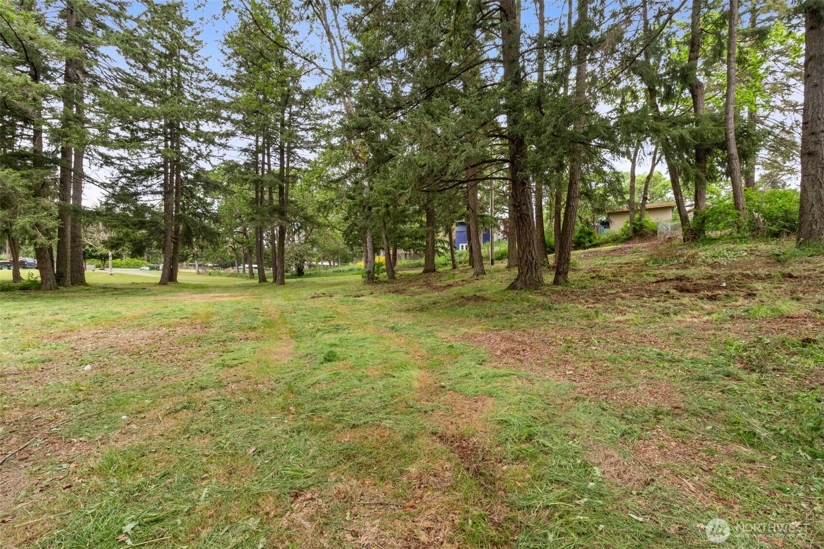 19608 8th Avenue Property Photo 22
