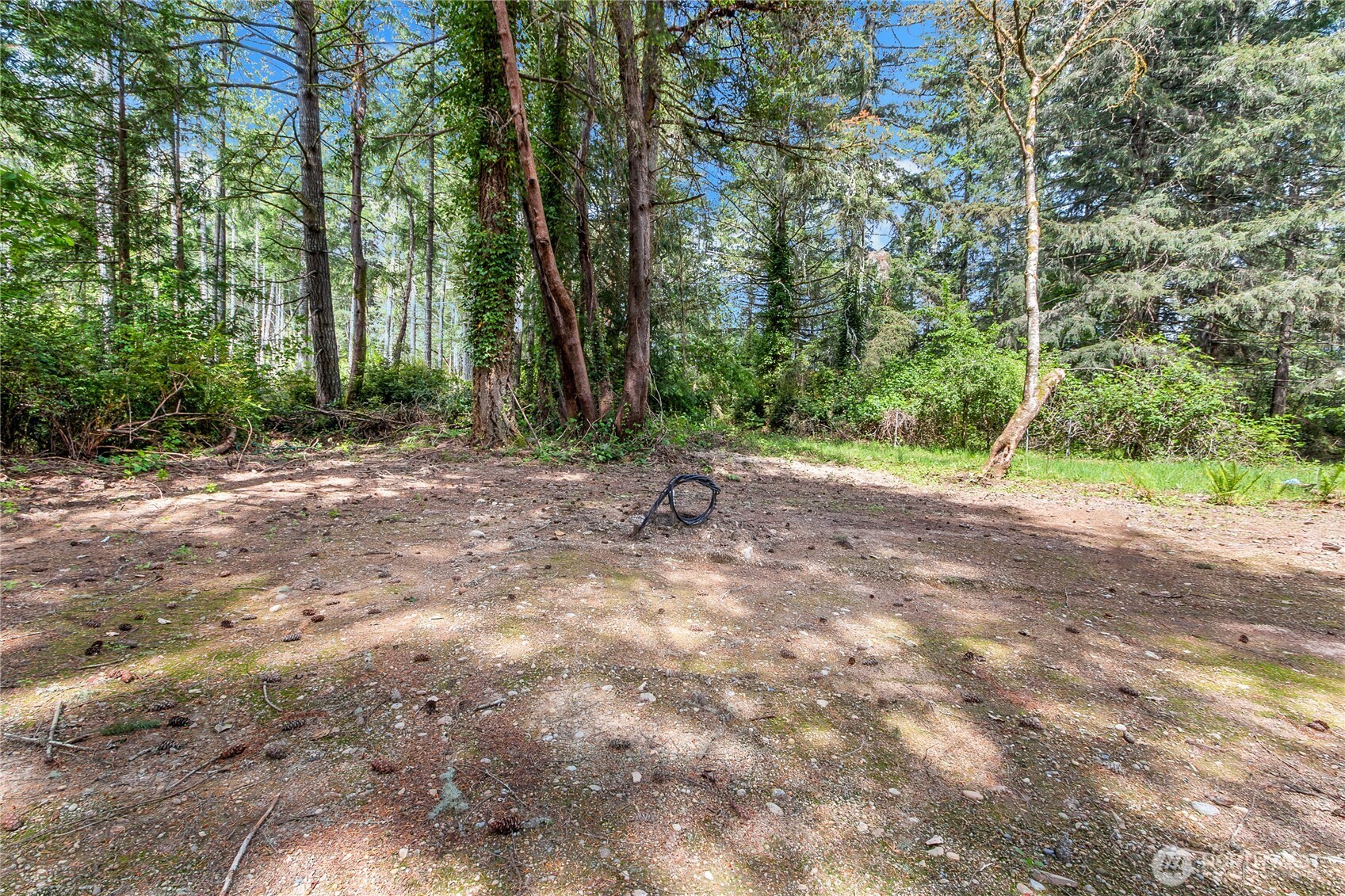 16405 84th Street Property Photo 4