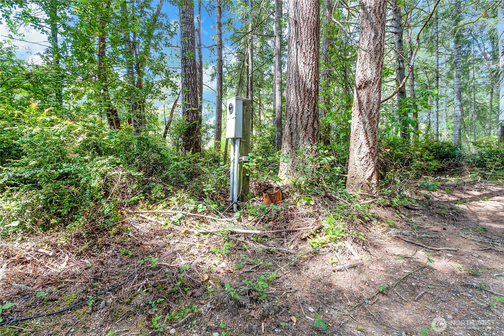 16405 84th Street Property Photo 5