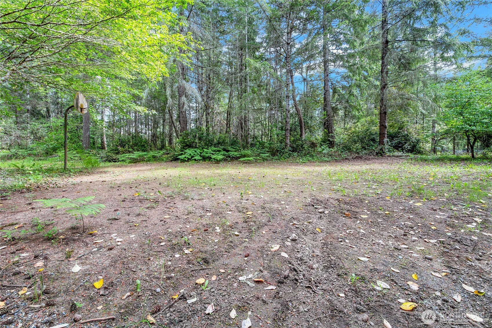 16405 84th Street Property Photo 7