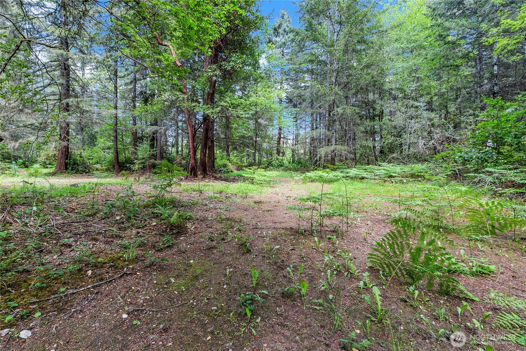 16405 84th Street Property Photo 8