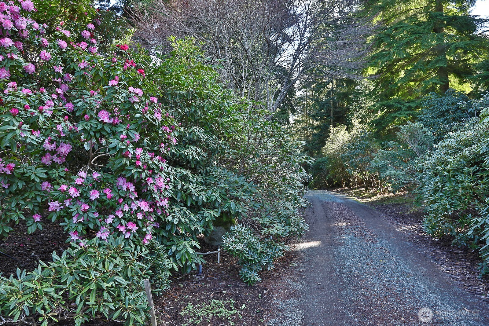 2970 Smugglers Cove Road Property Photo 36