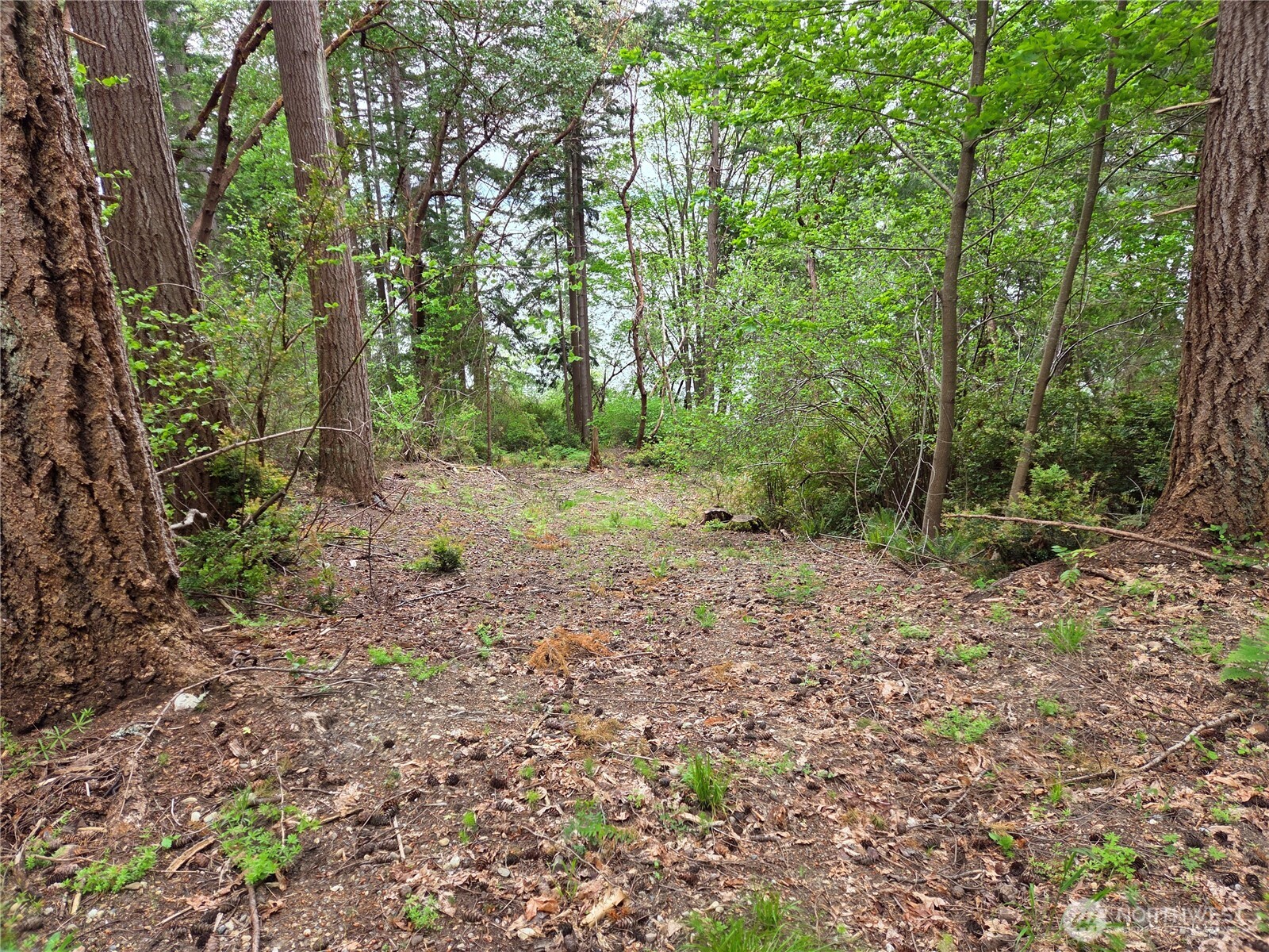 181 E Peale Drive Property Photo 3