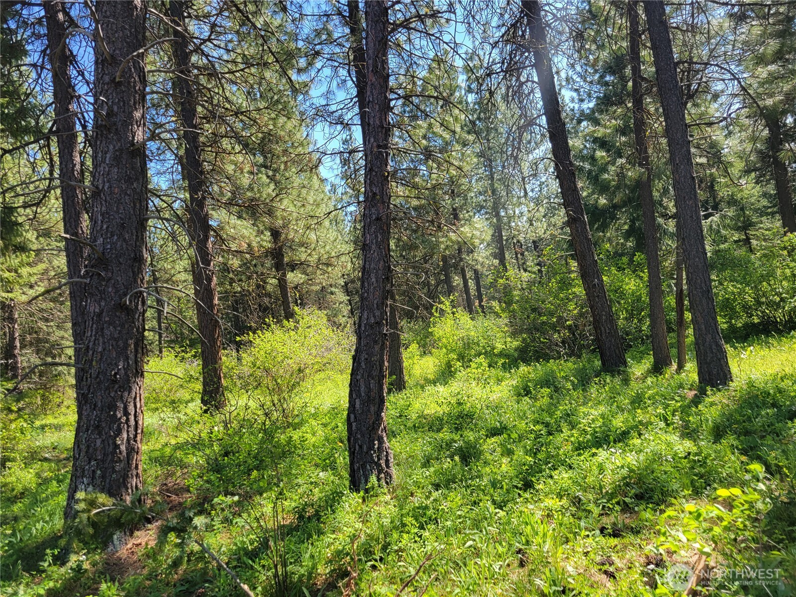 27 Summit View At Wallace Ranch Property Photo 8