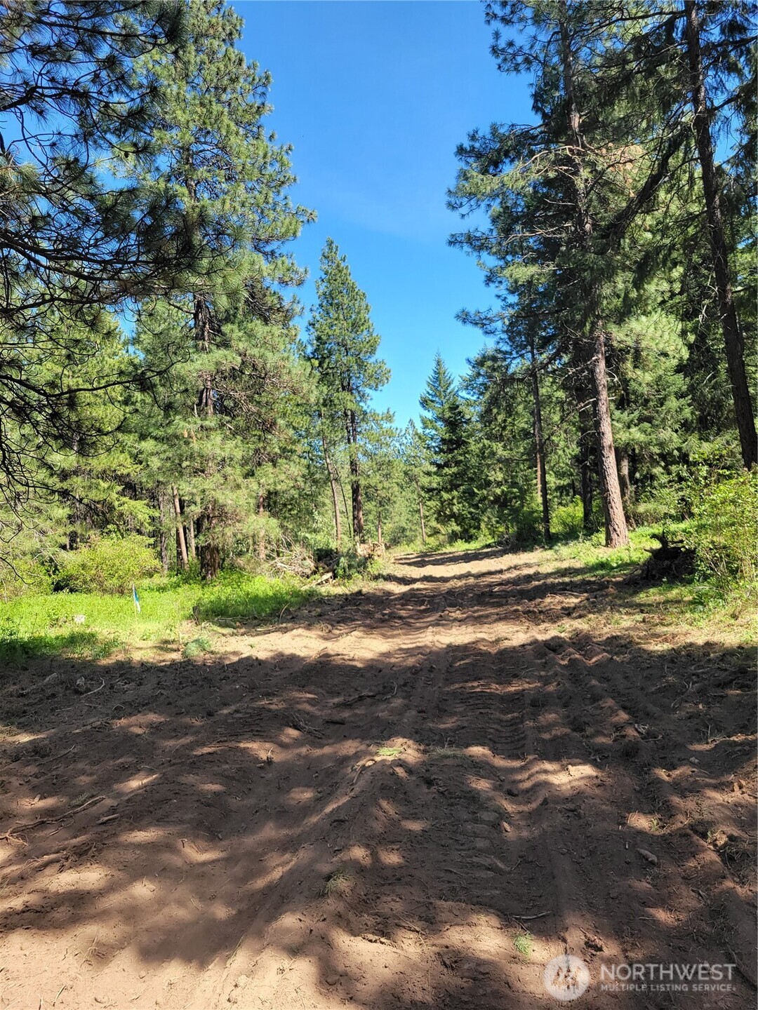 27 Summit View At Wallace Ranch Property Photo 12