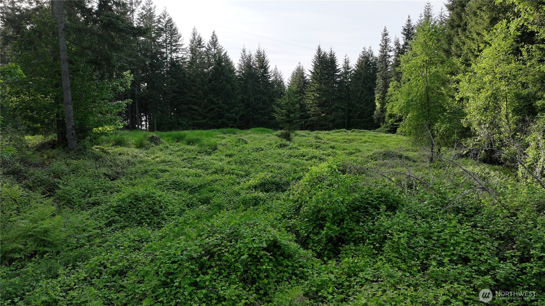 0 Ne Finalburg Road Property Photo 17